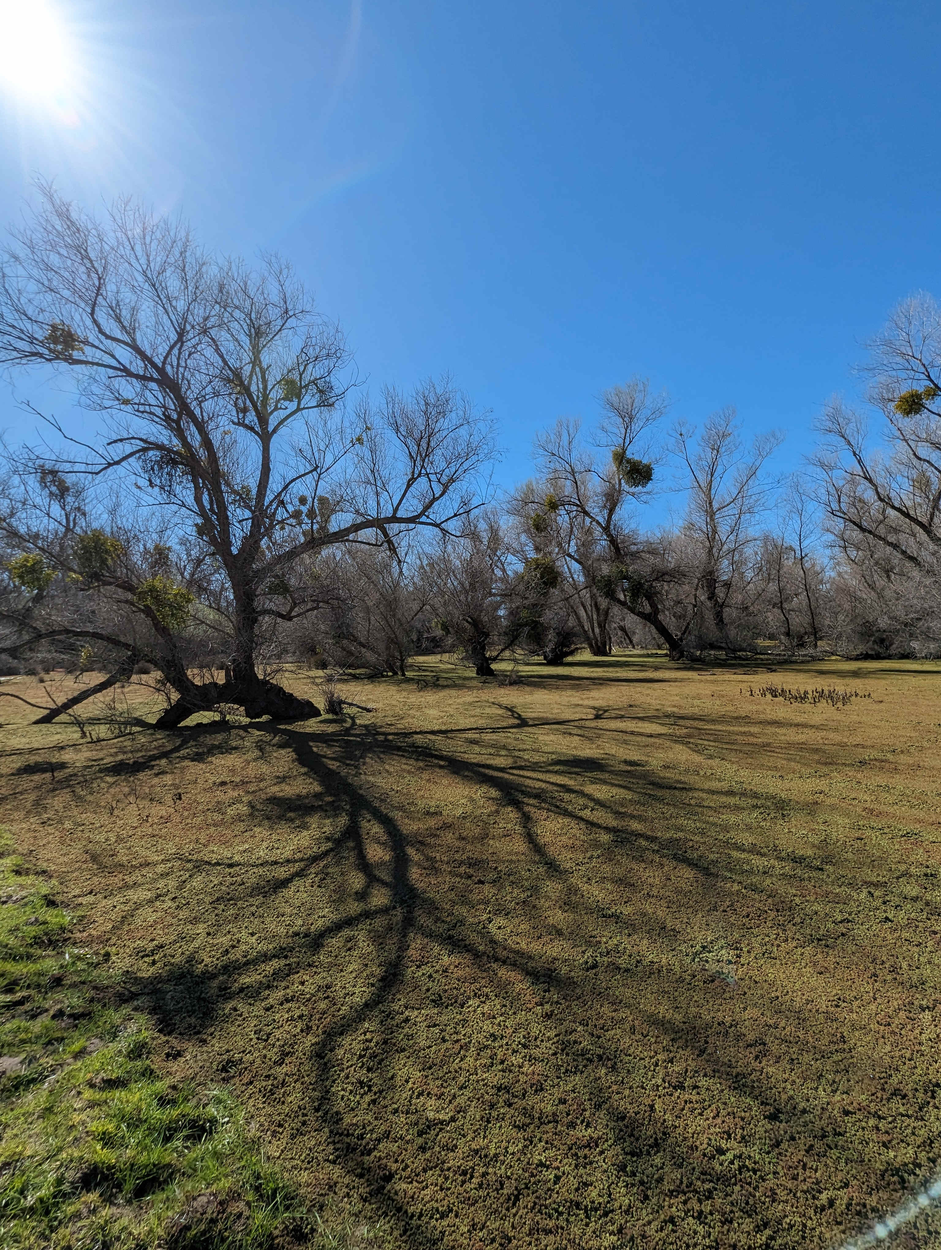 Blackhawk Ravine Campground