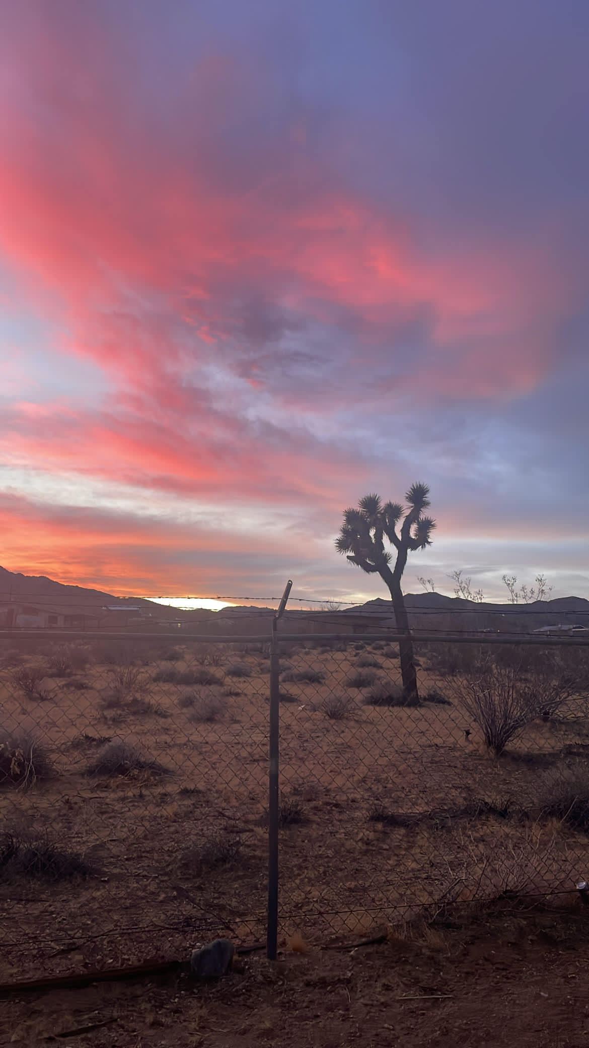 Glamping at Cougar Ranch