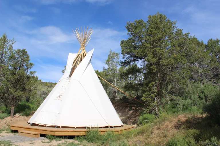 Private outdoor mini-retreat Camp7
