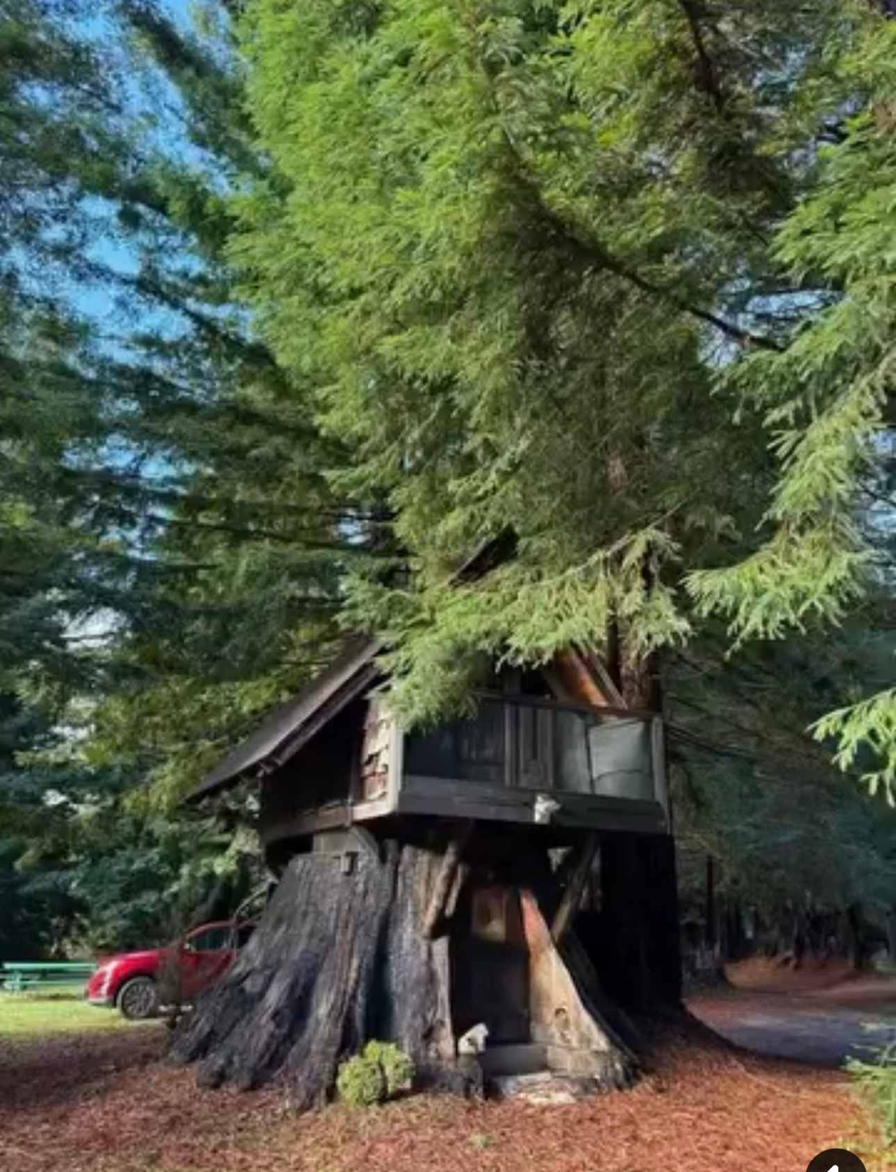 Redwood Family Camp