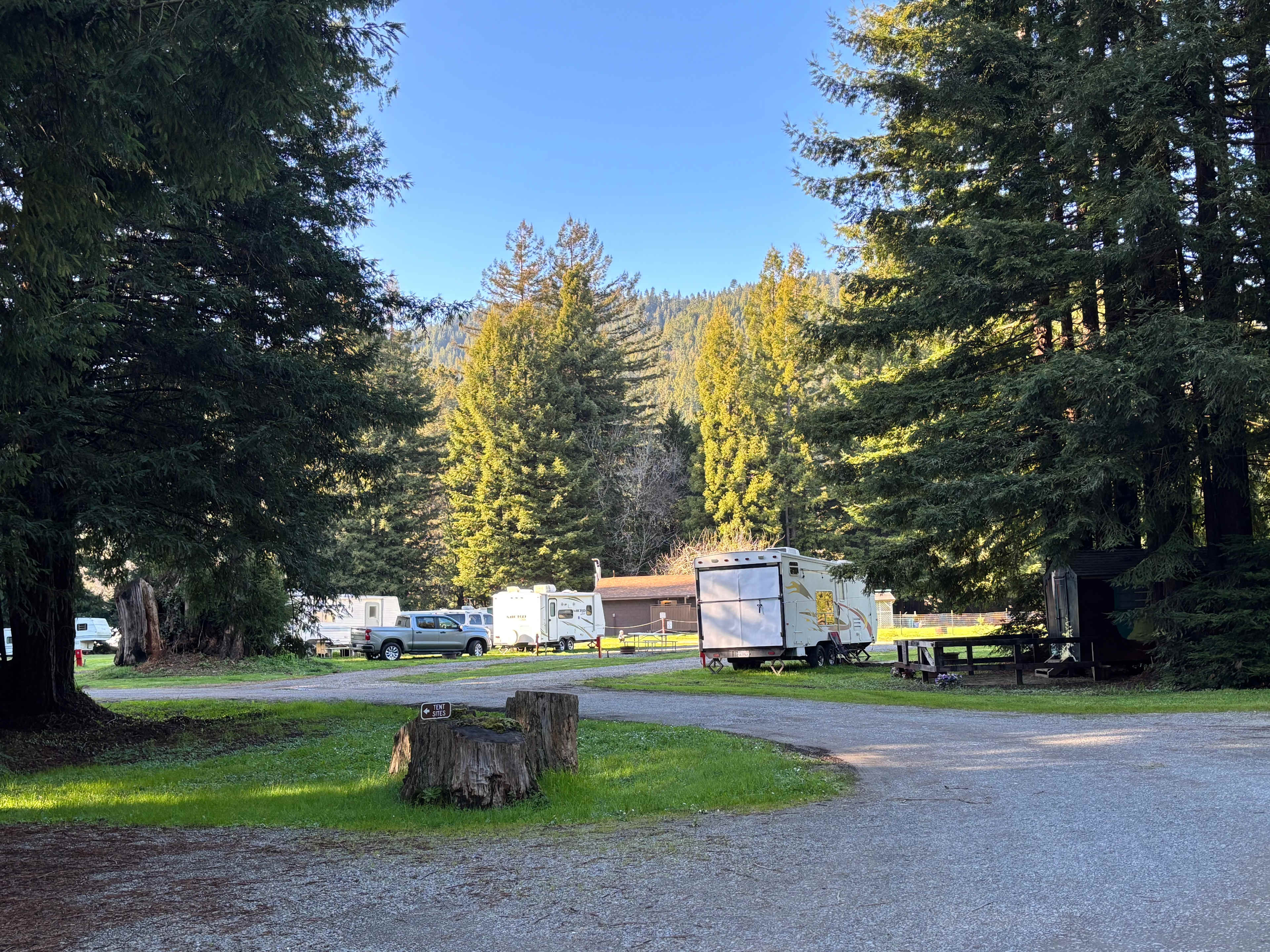 Redwood Family Camp
