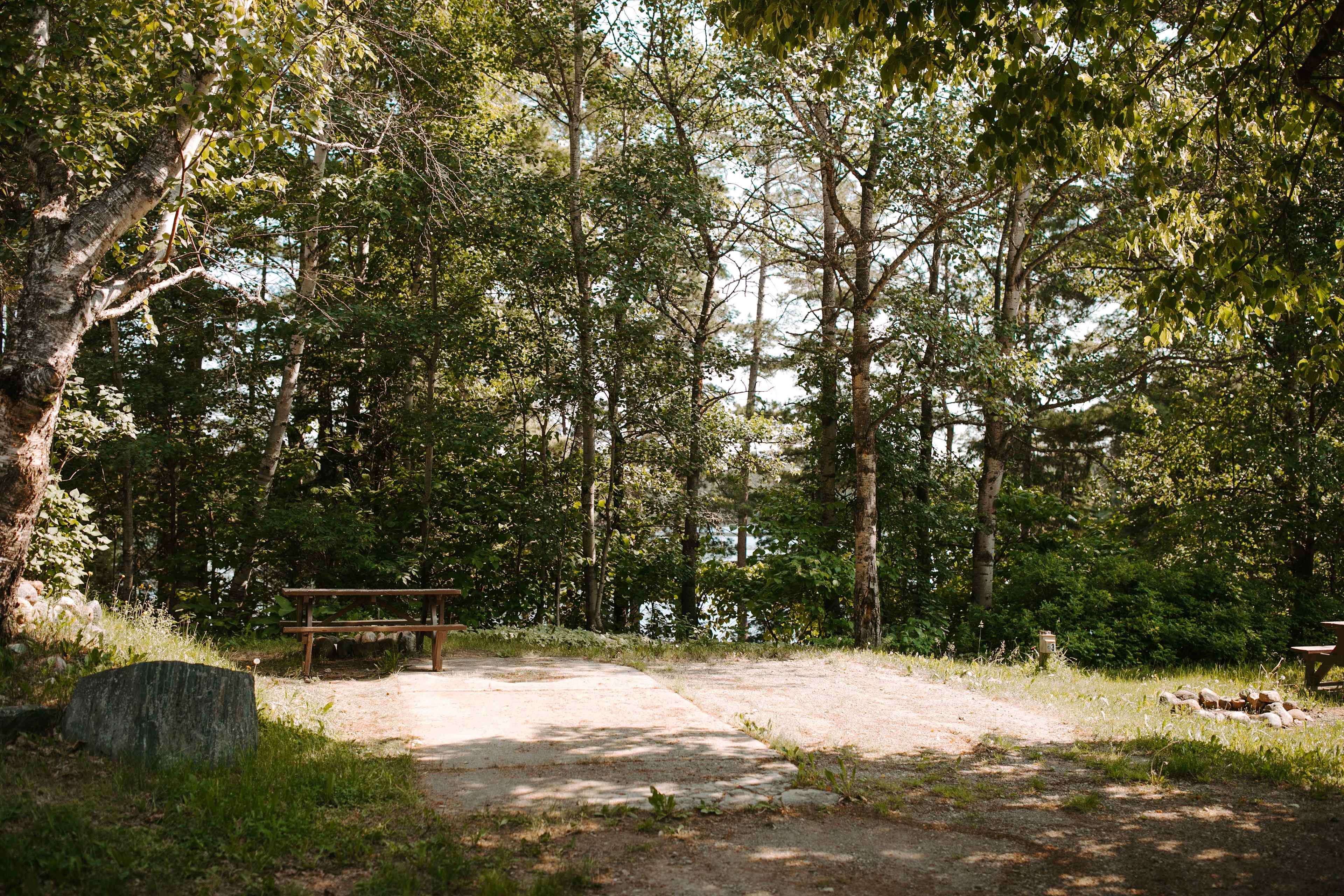 Picture of the site