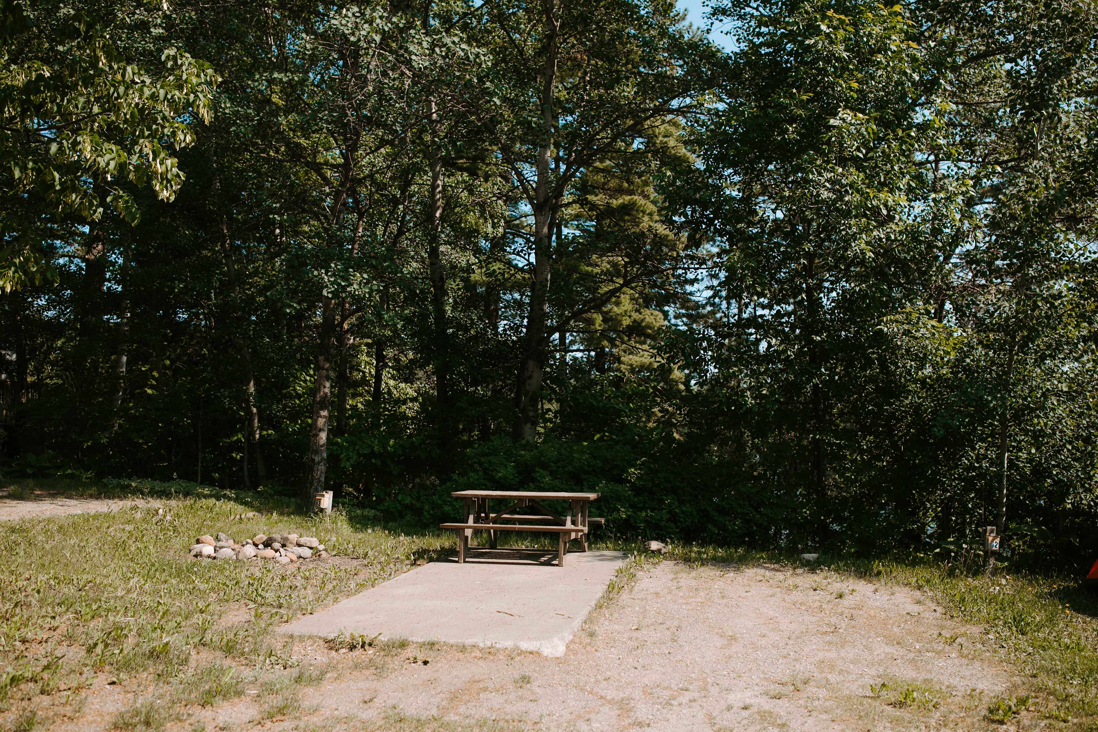 Picture of the site