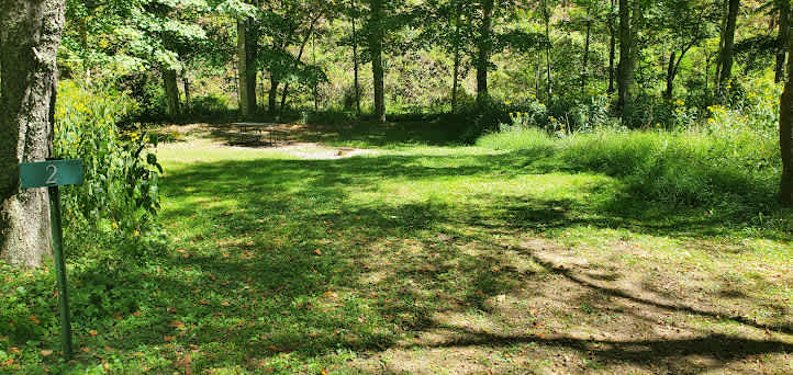 Picture of the site