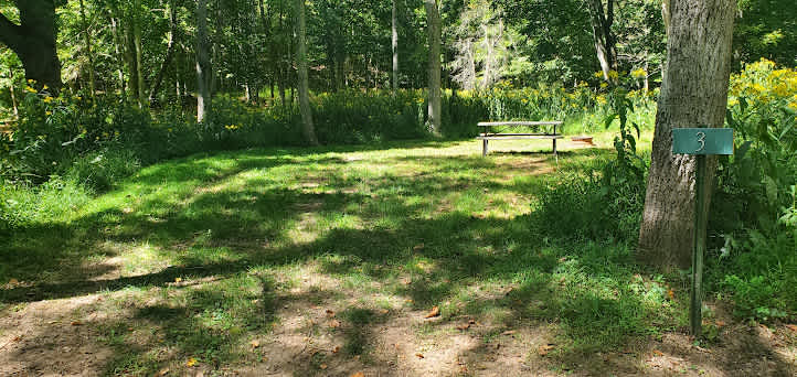 Picture of the site