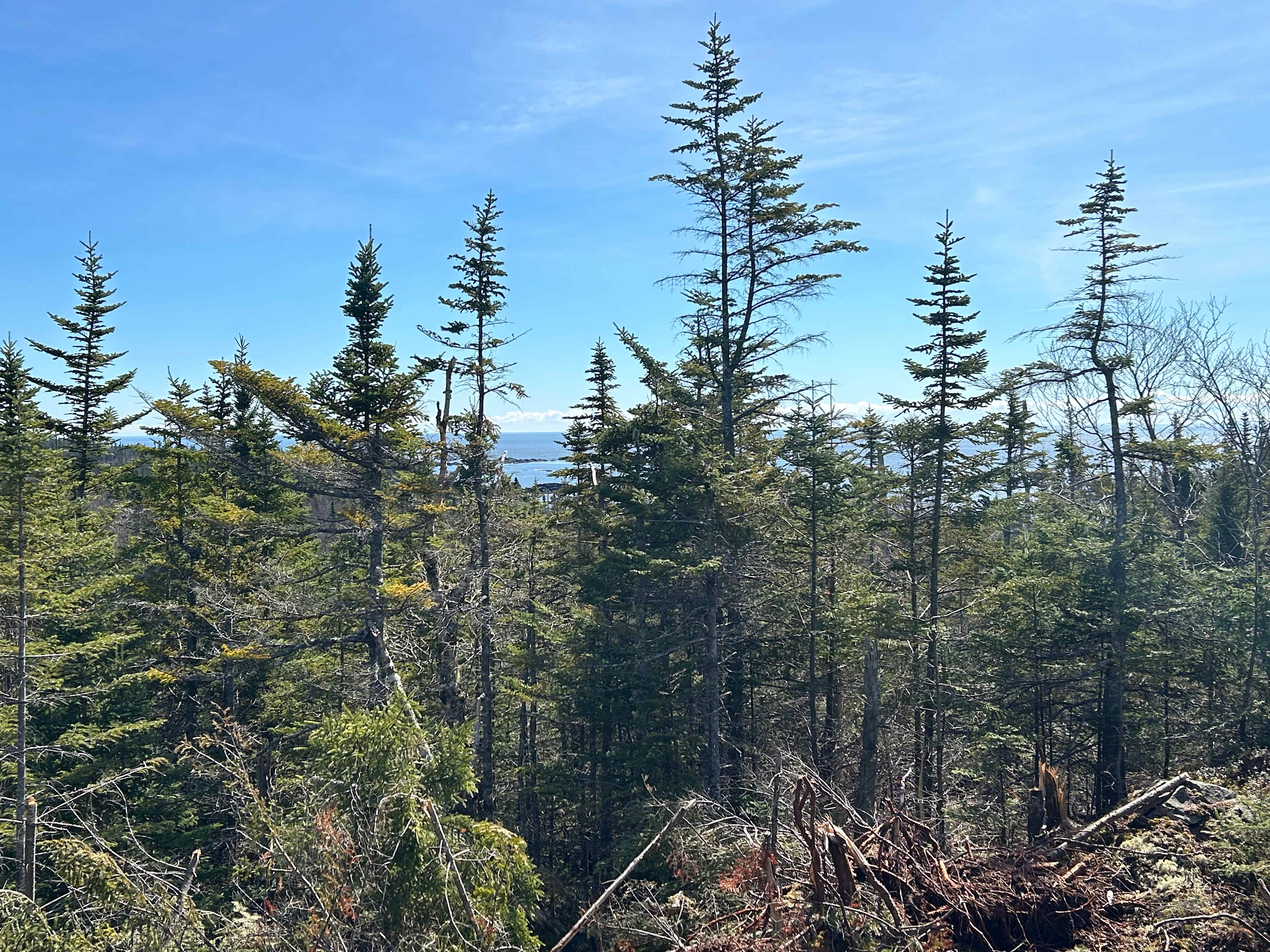 Secluded Ocean View Camping