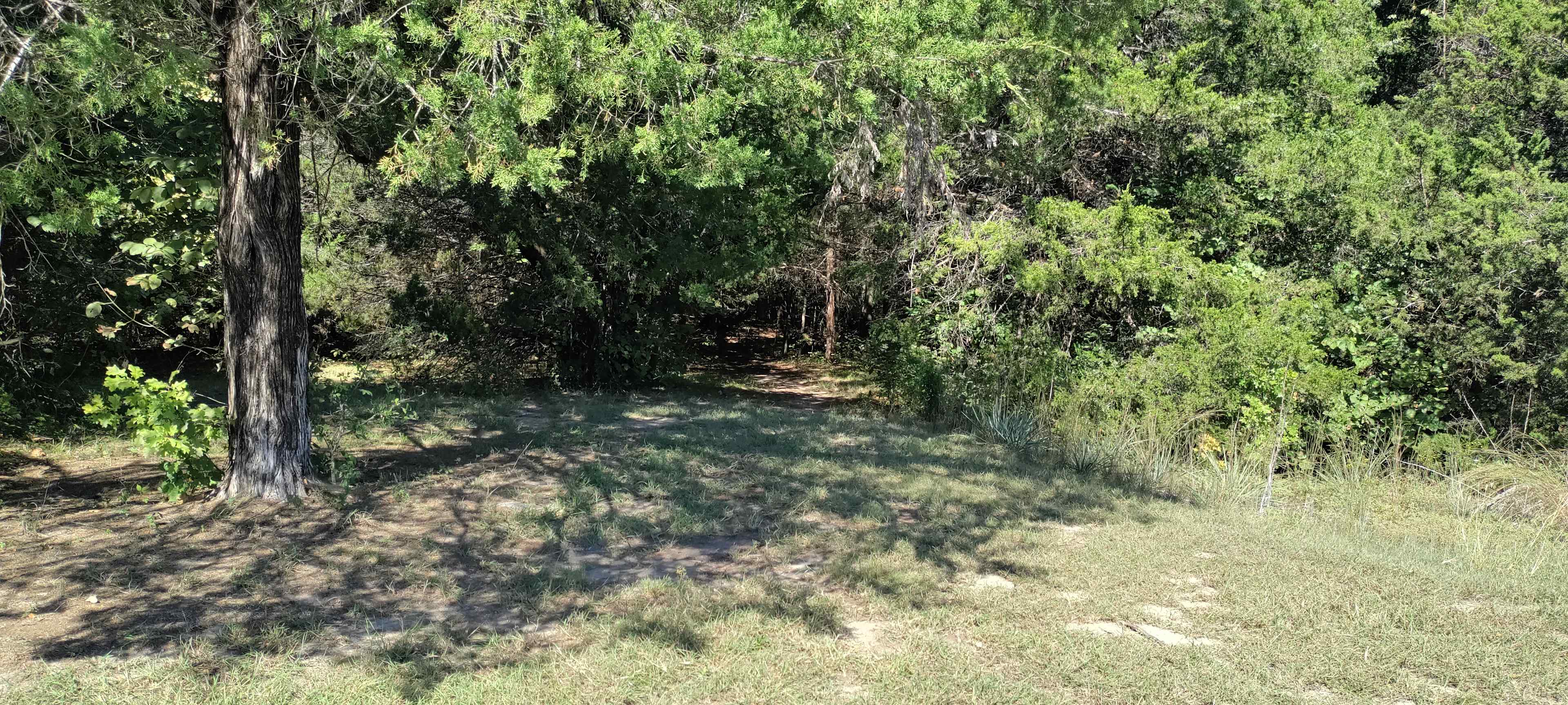 Camp entrance 