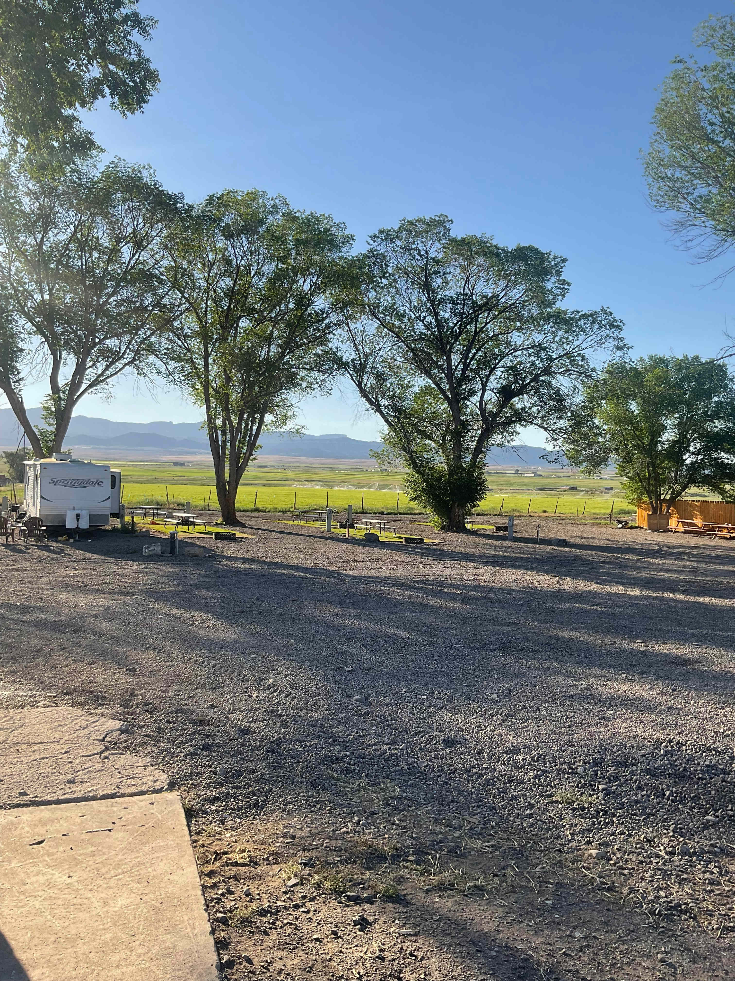 Picture of the site