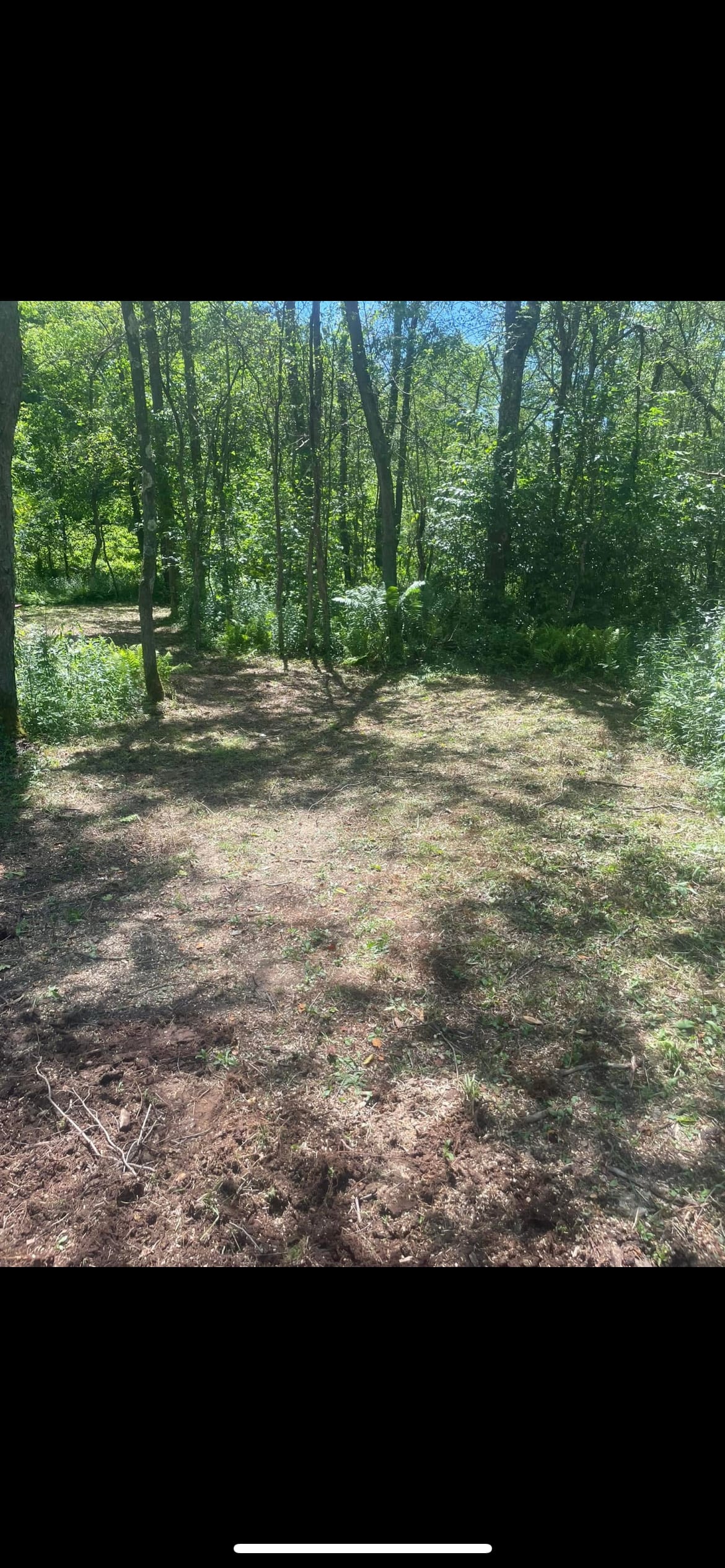 Stoney Run Primitive Tent Camping