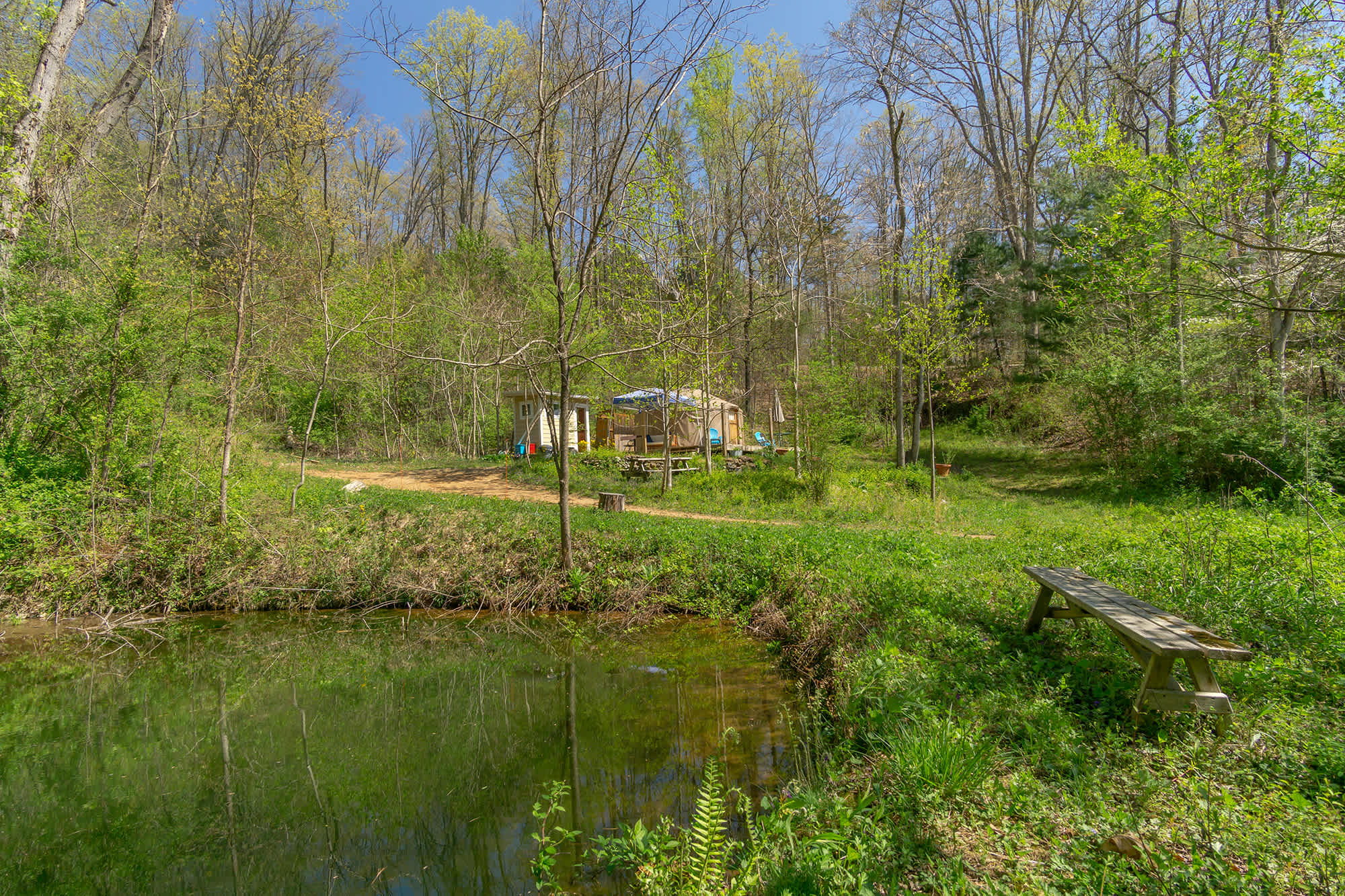 Edge of forest eden camp