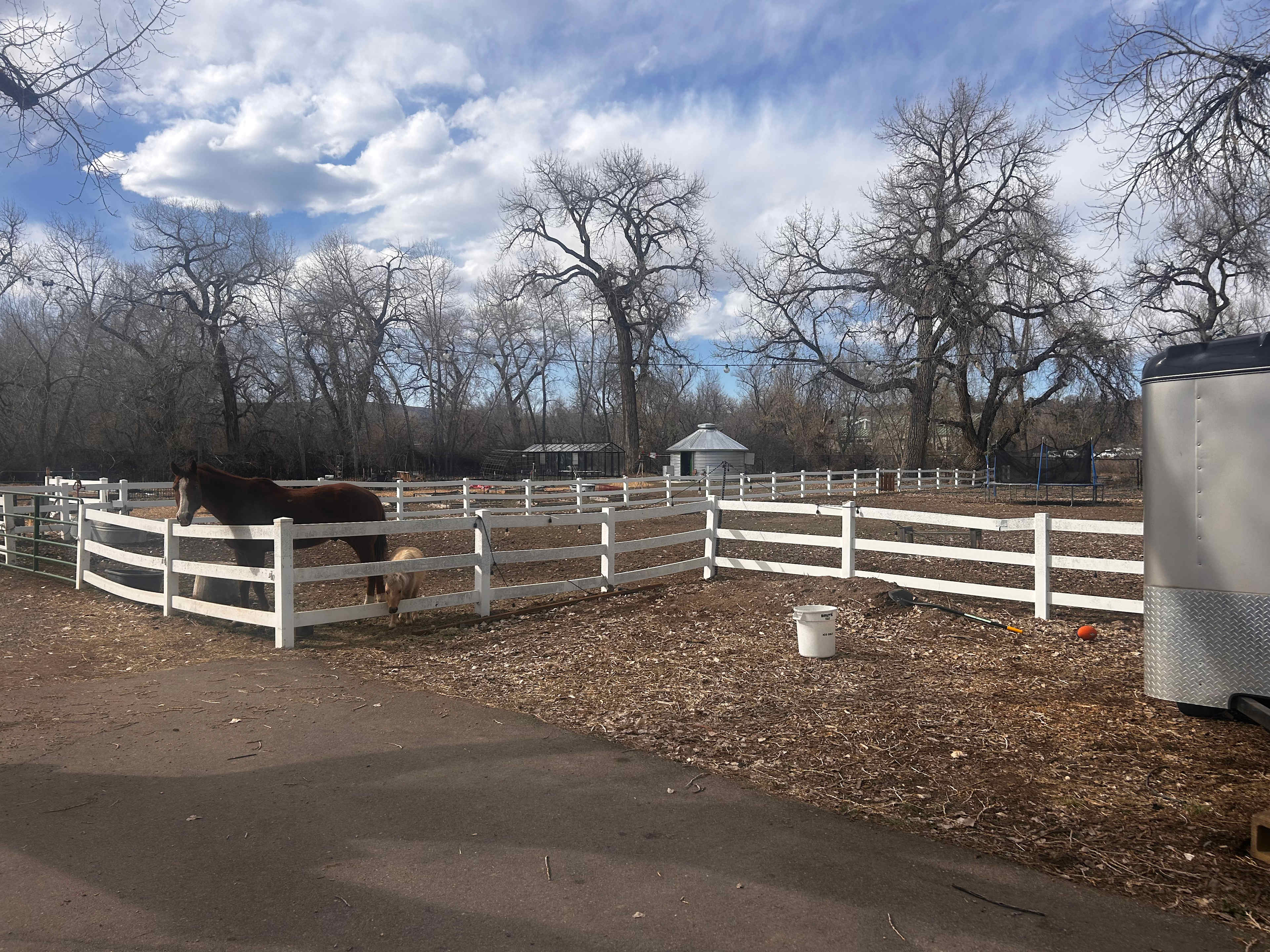 Parking very close to your campsite and close to our horses and flower farm.
