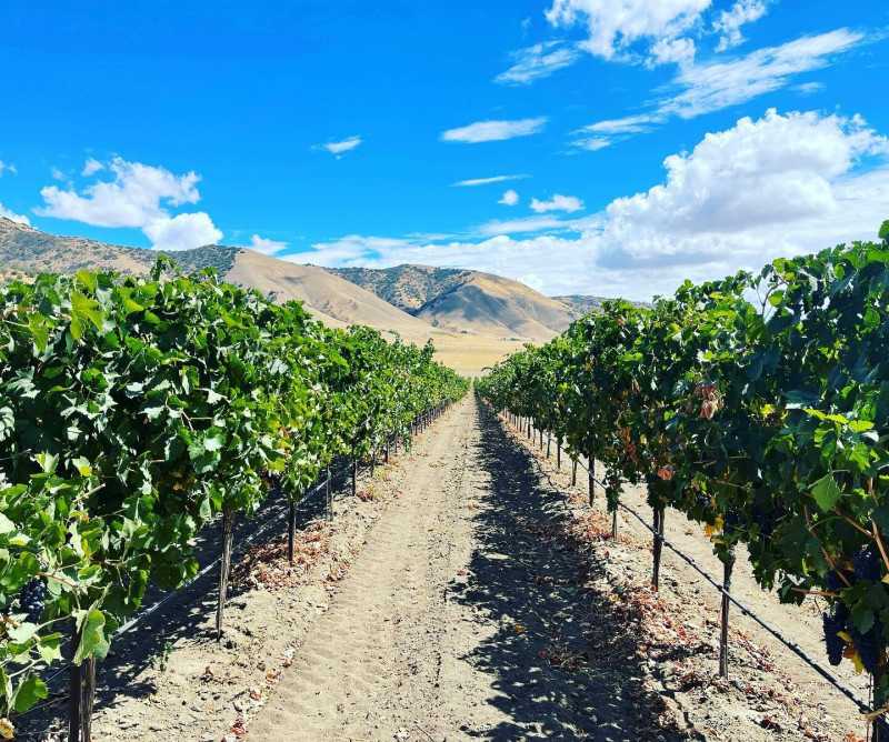 Tehachapi Winery
