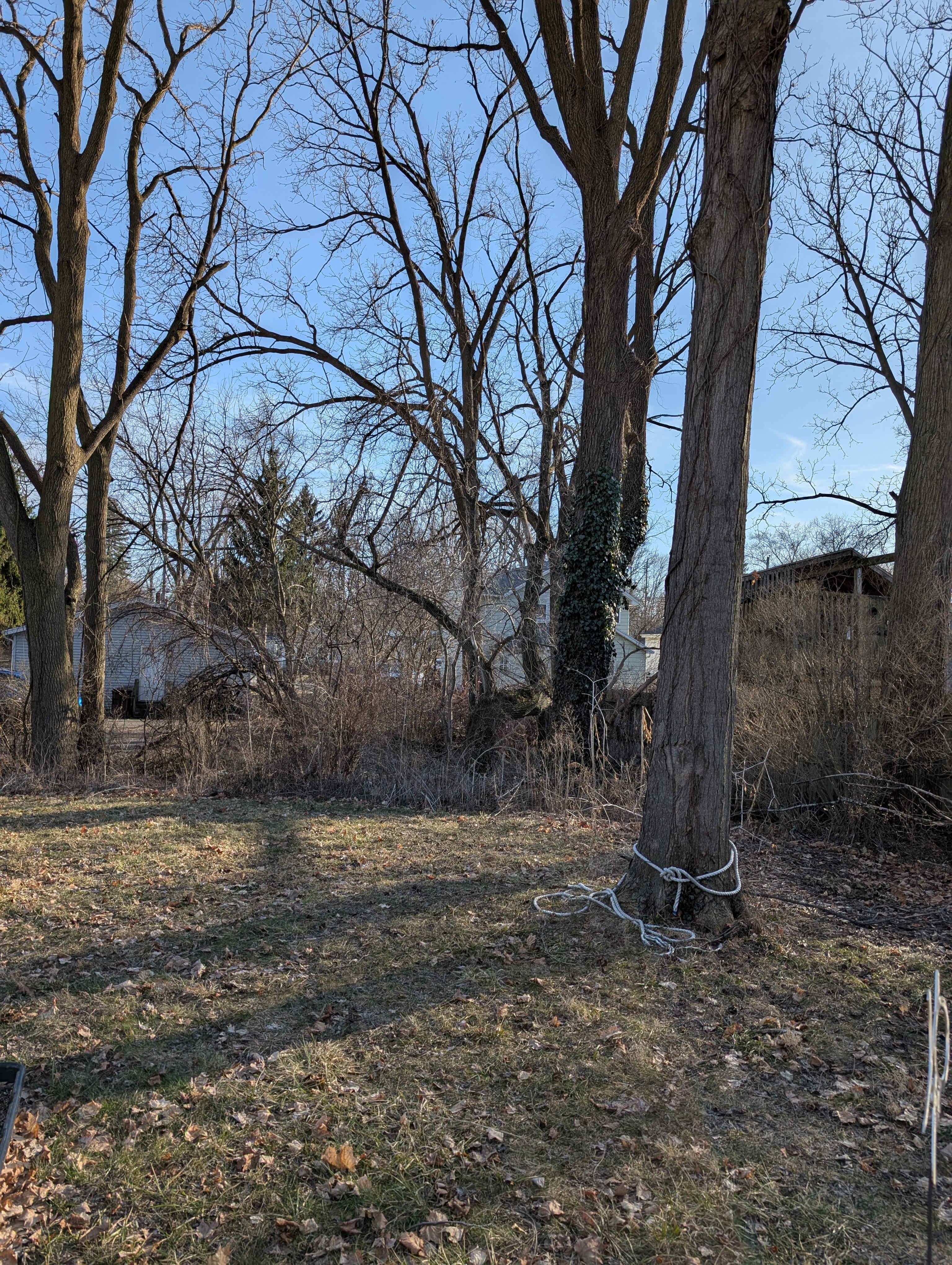 Inner City Farm Camp