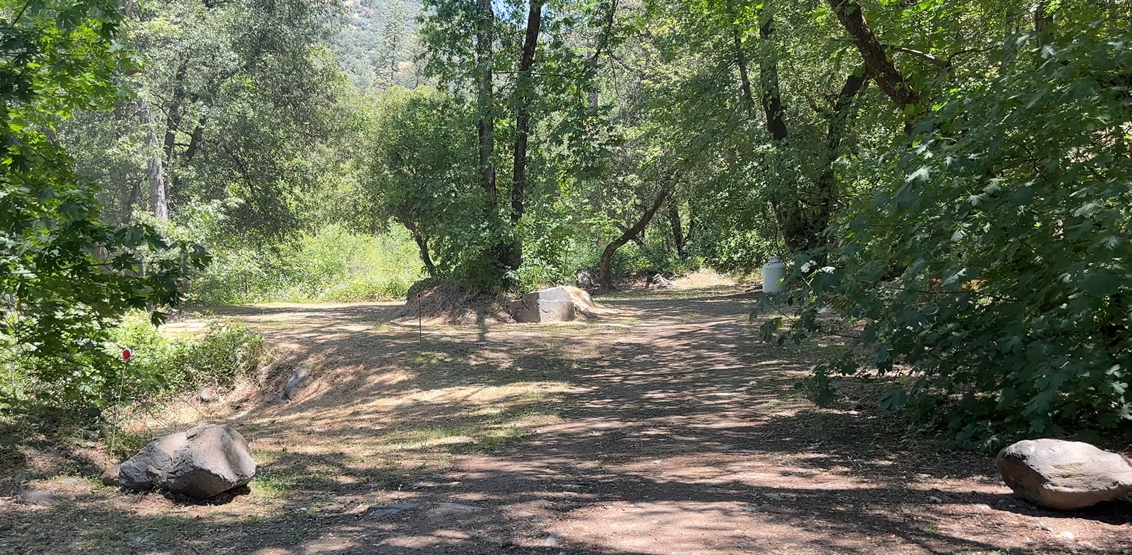 Picture of the site