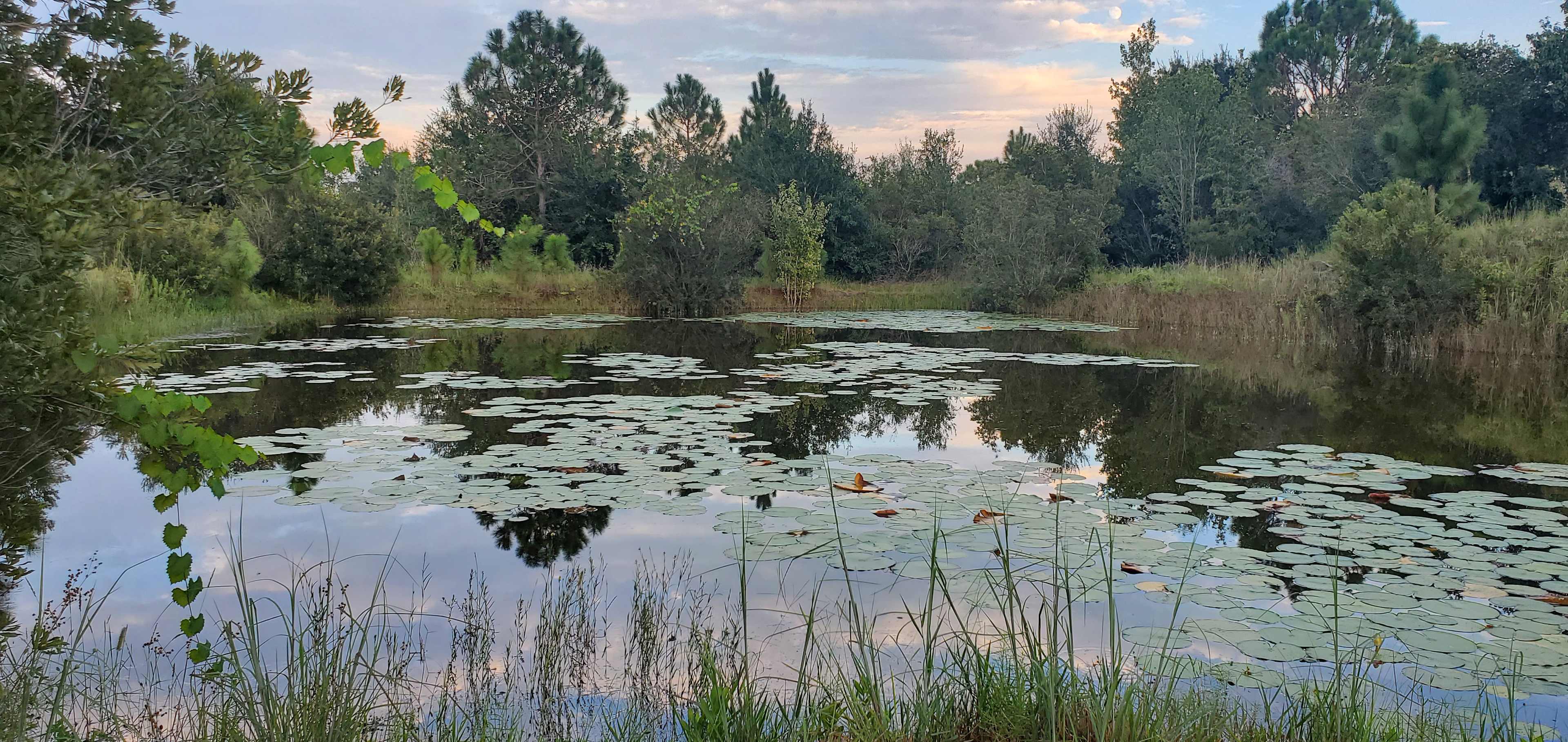 Wandering Waters