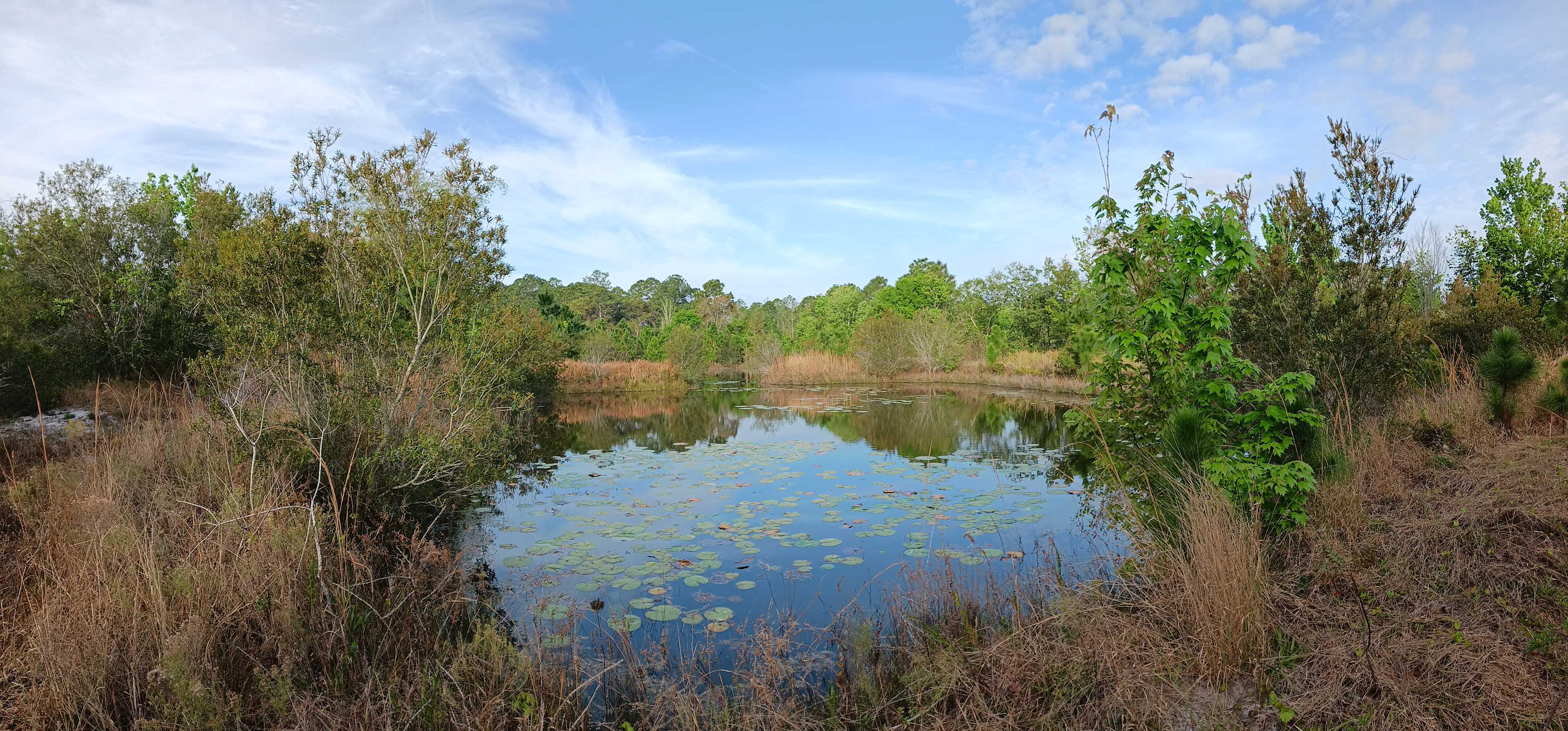Wandering Waters