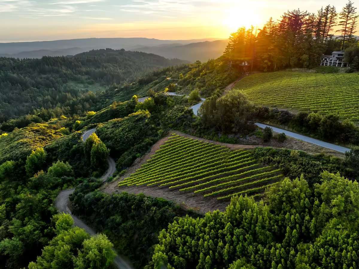 Epic Views at Lago Lomita Vineyards