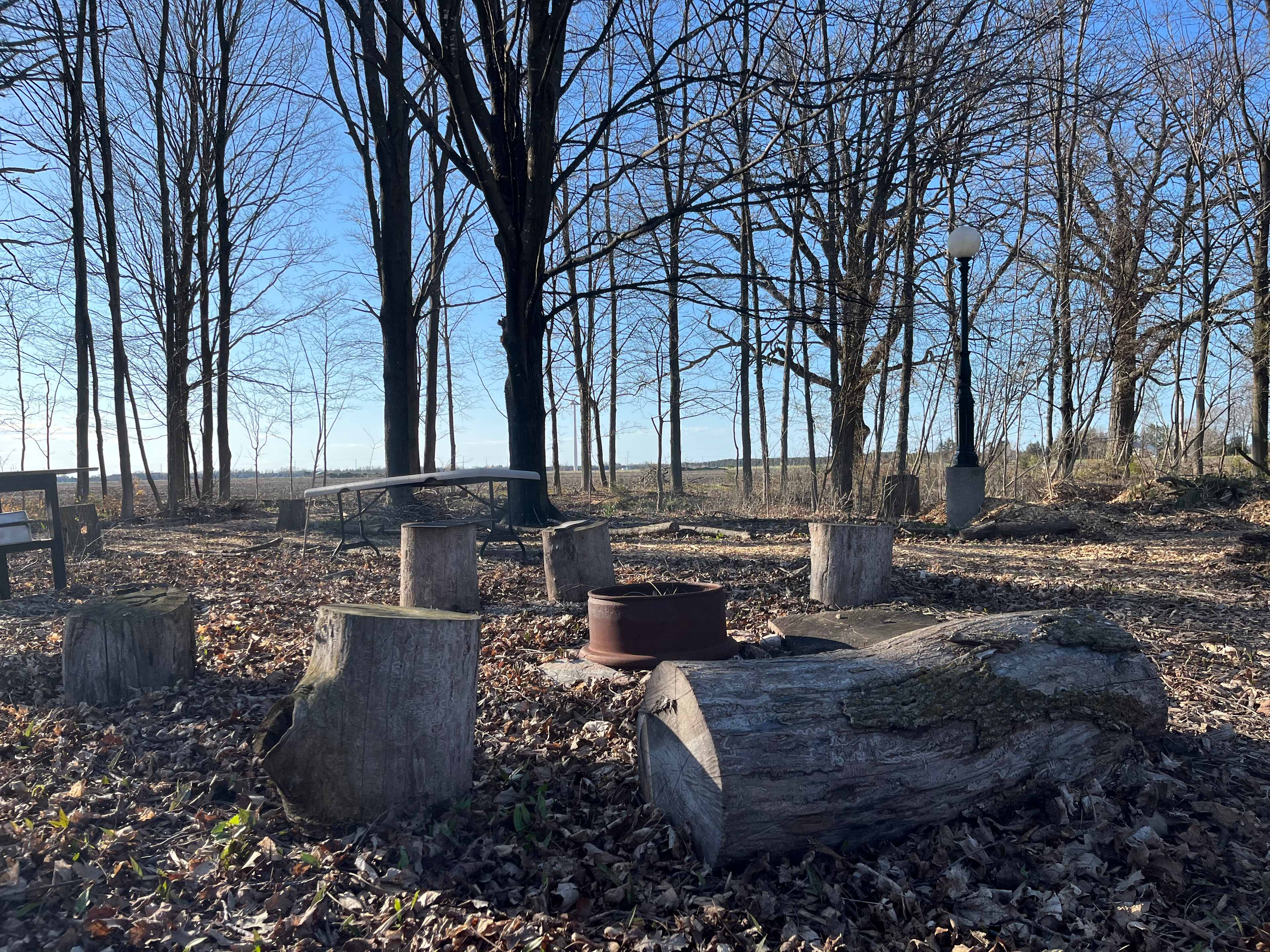 White Pine Forest Farm