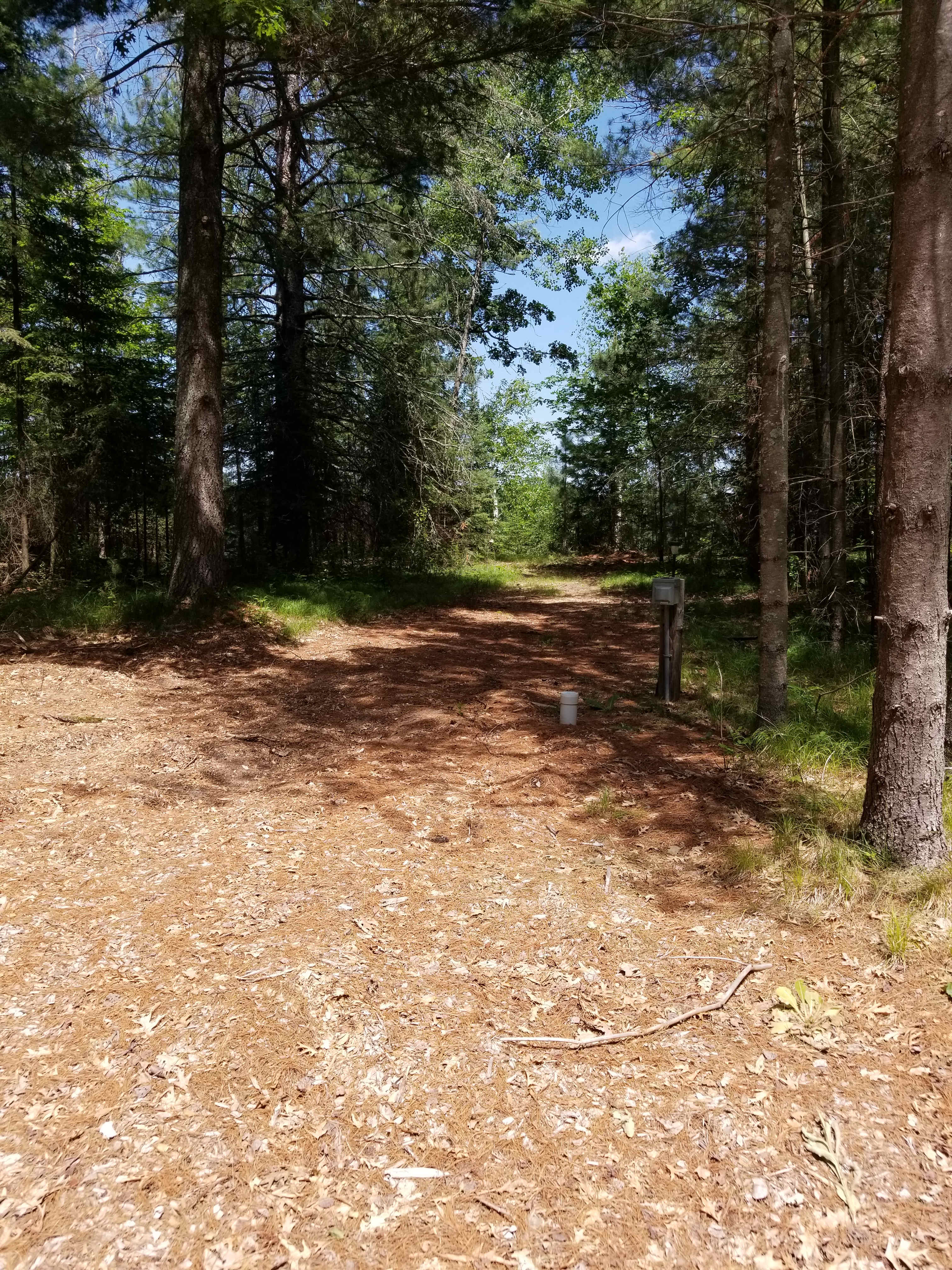 Lake Placid Family Reunion Camp