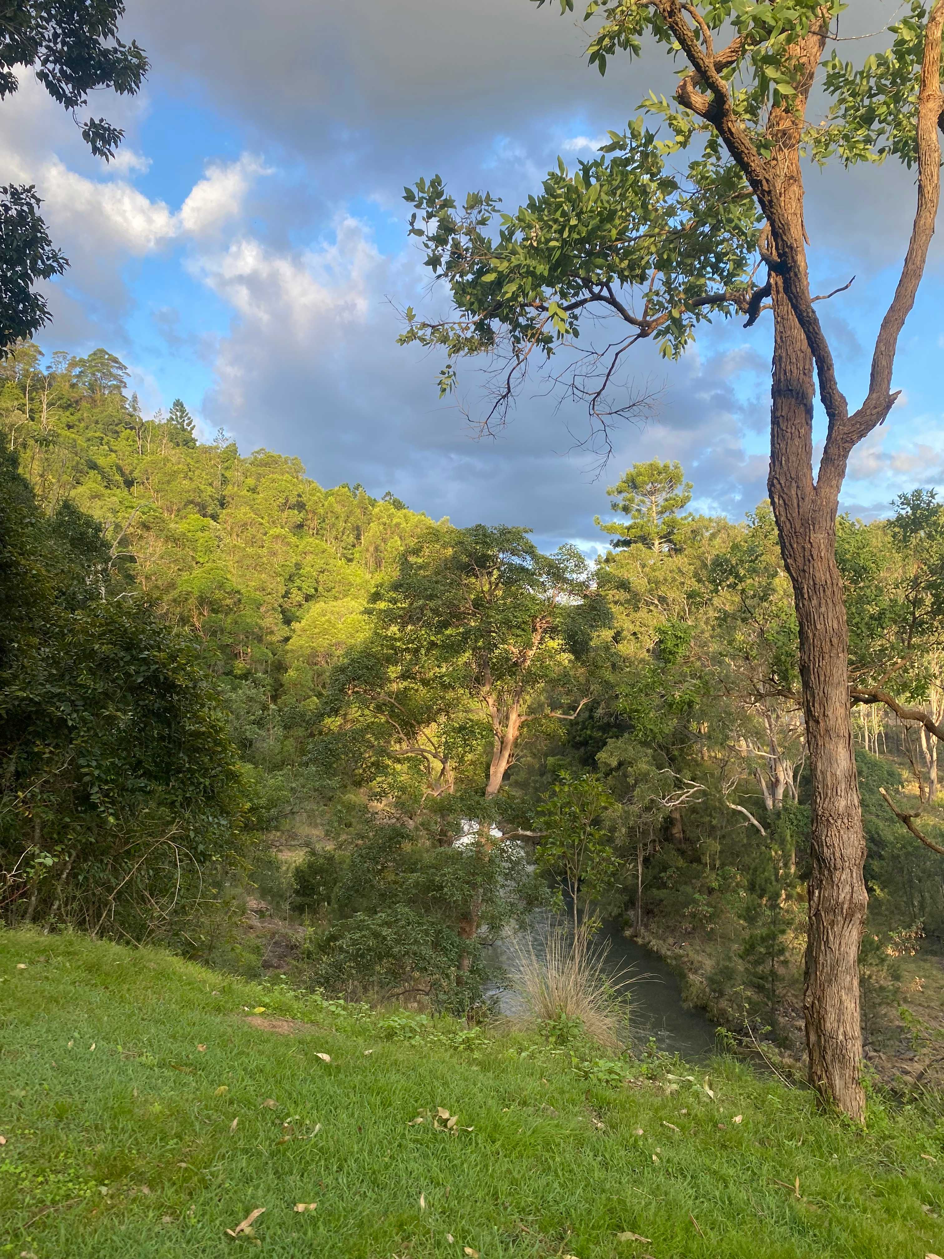 Andrew Drynan Park-Camp with a view