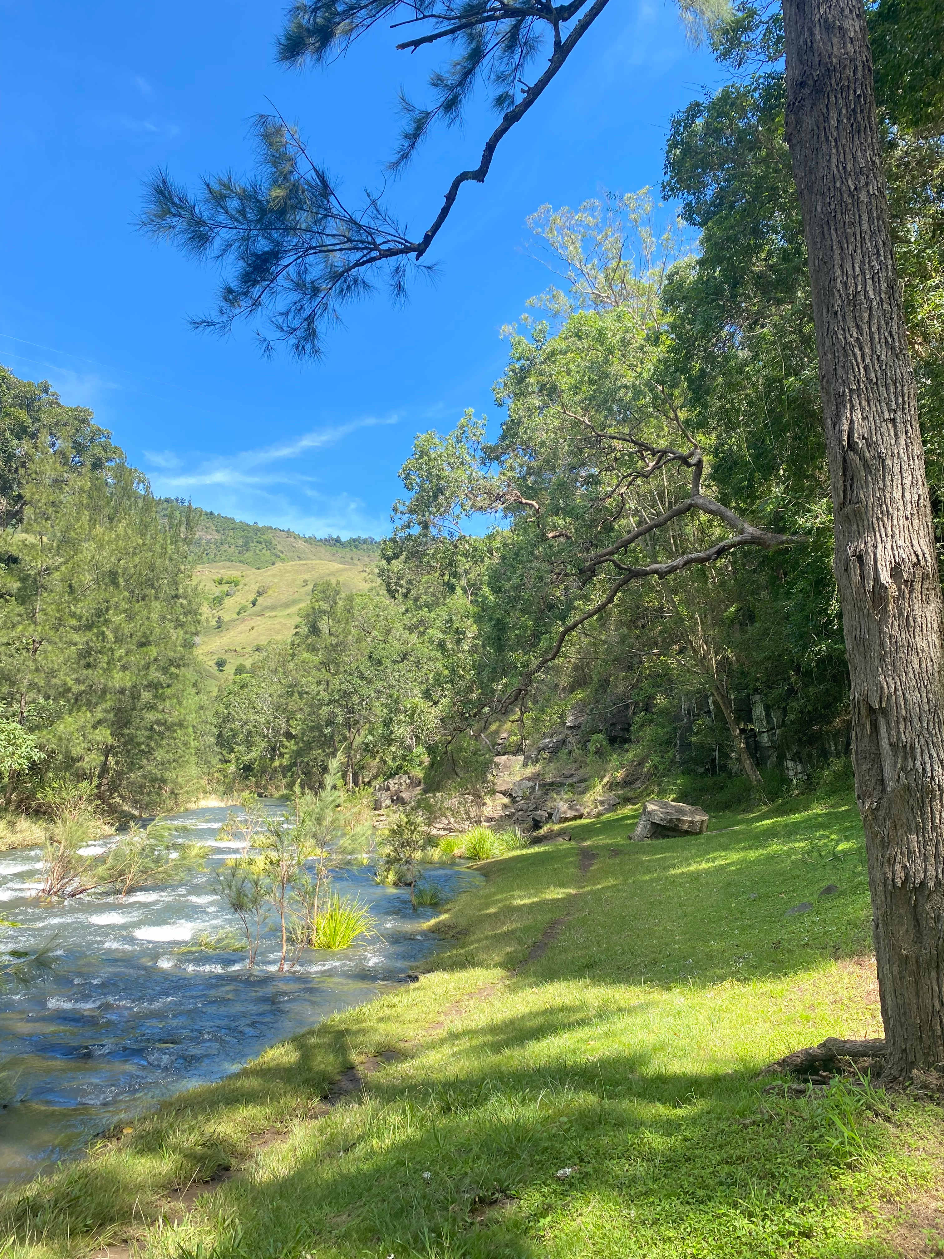Andrew Drynan Park-Camp with a view