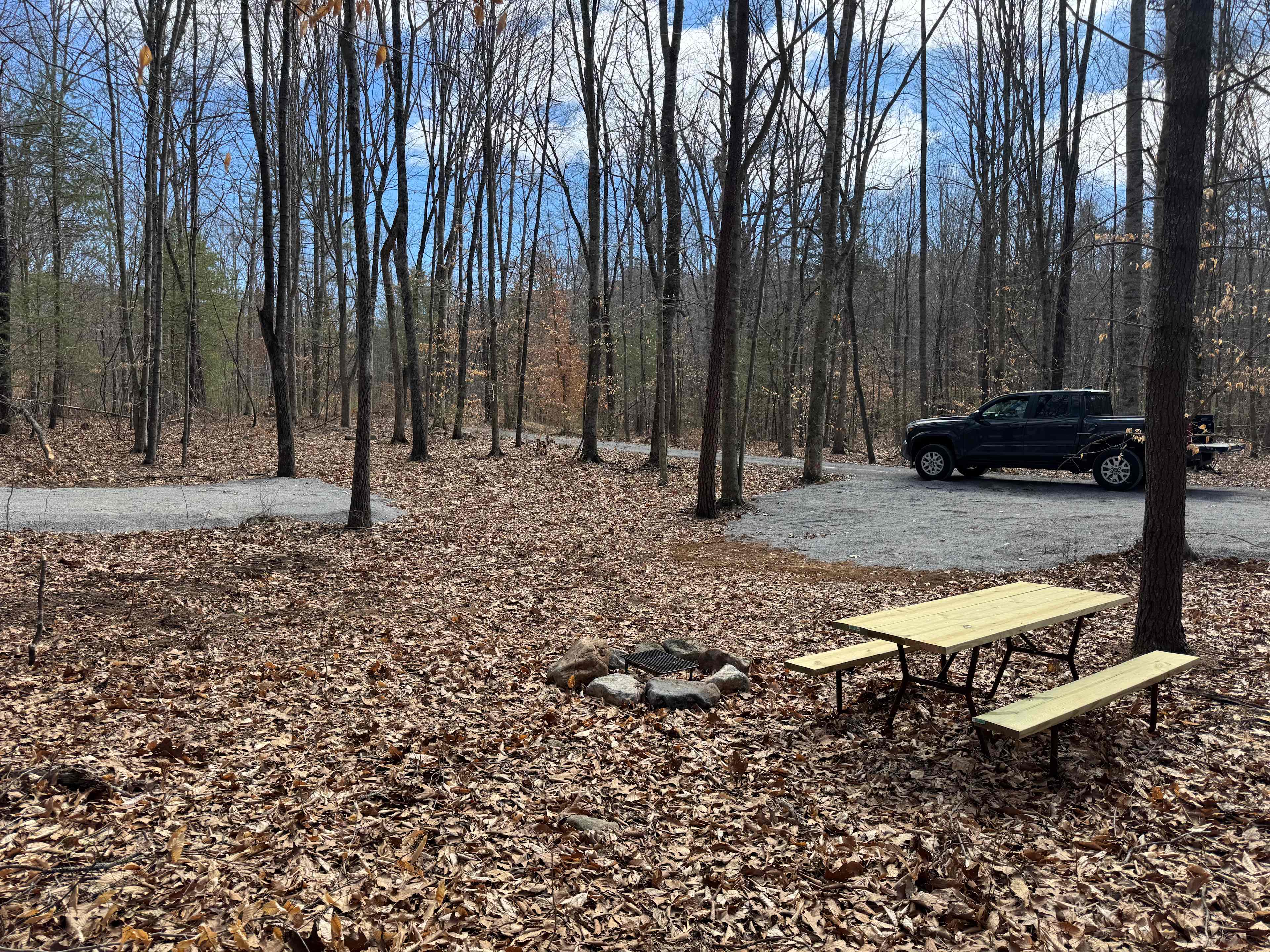 Picture of the site