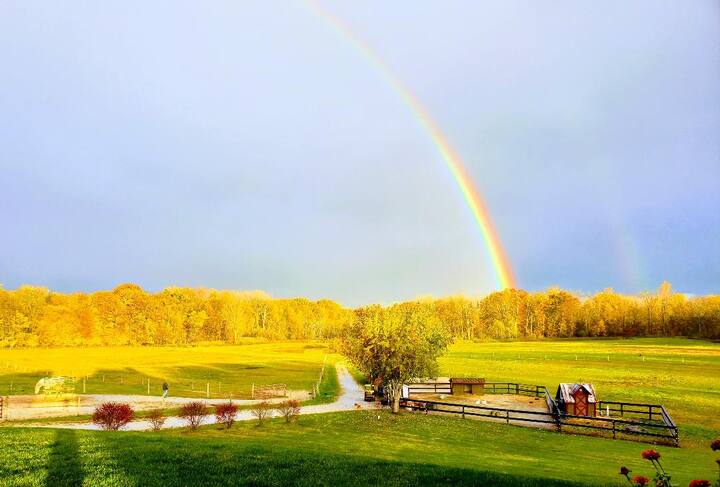 Blue Moon Barn