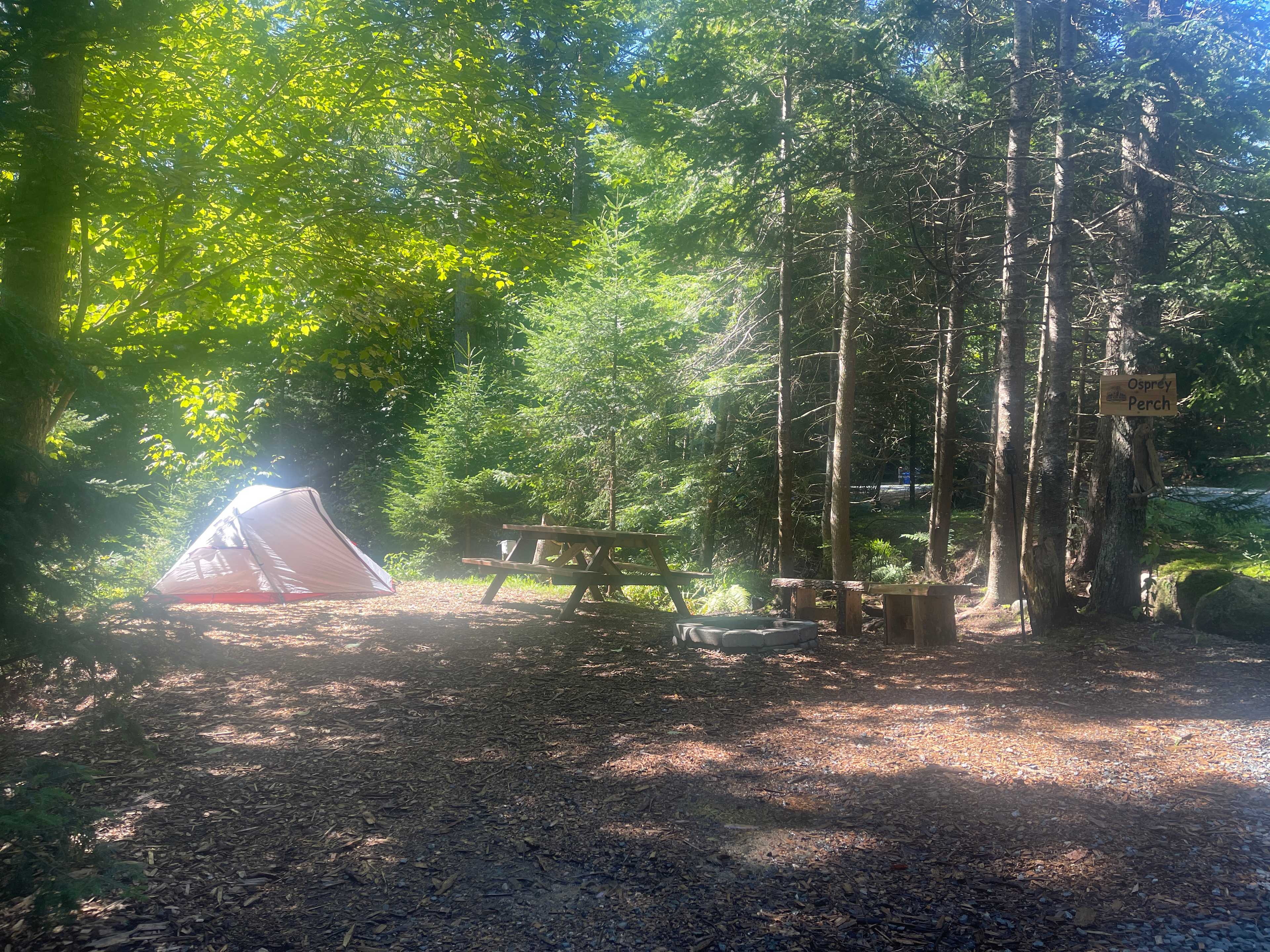 Picture of the site