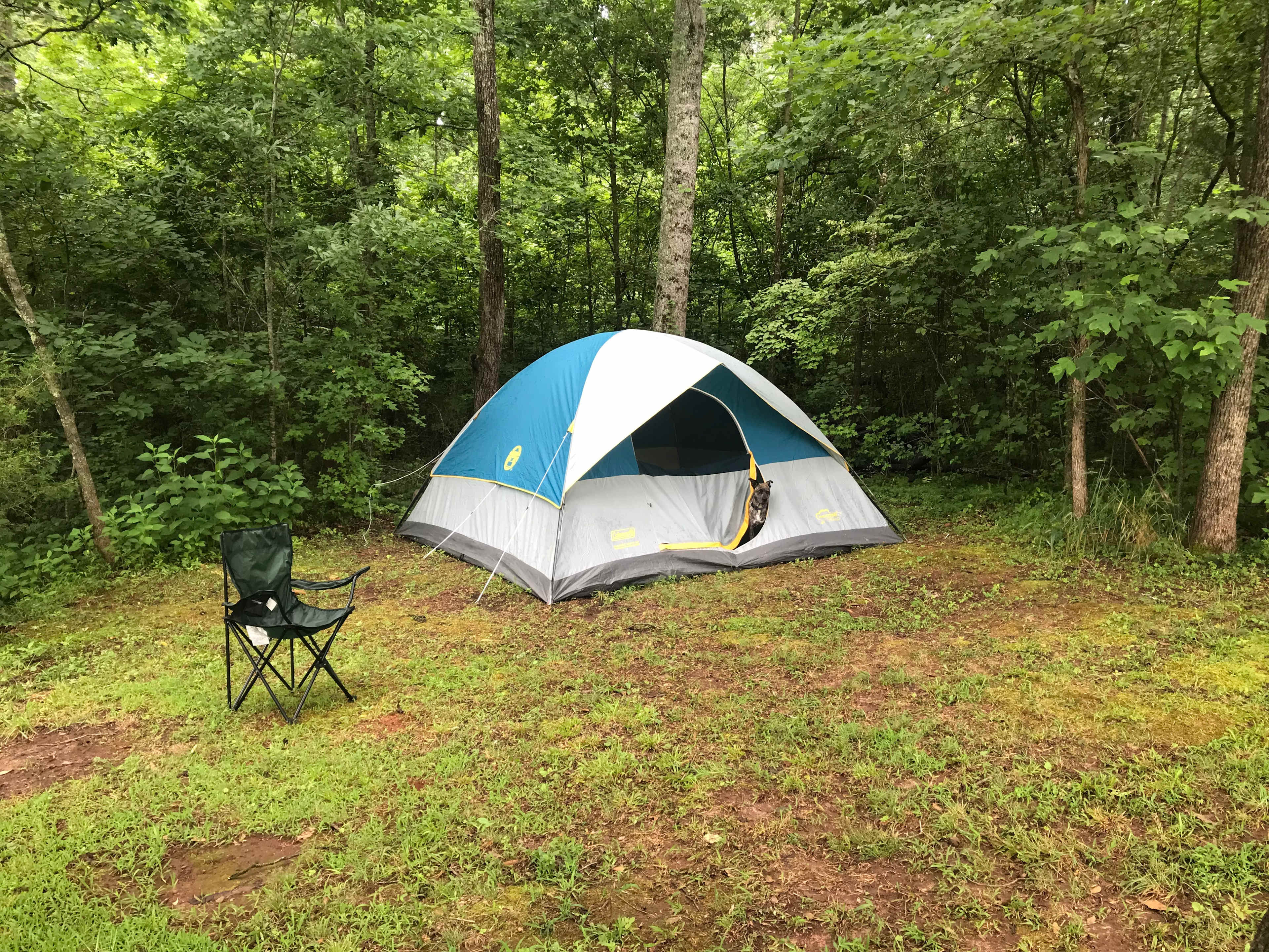 Forest & Farm Camping Retreat