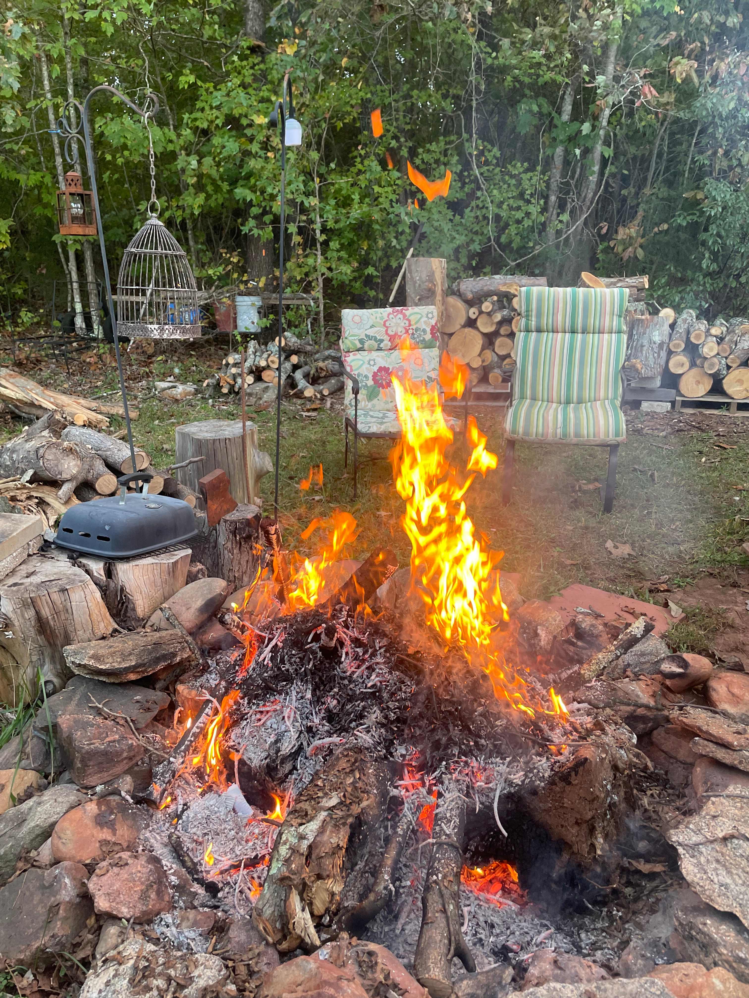 Forest & Farm Camping Retreat