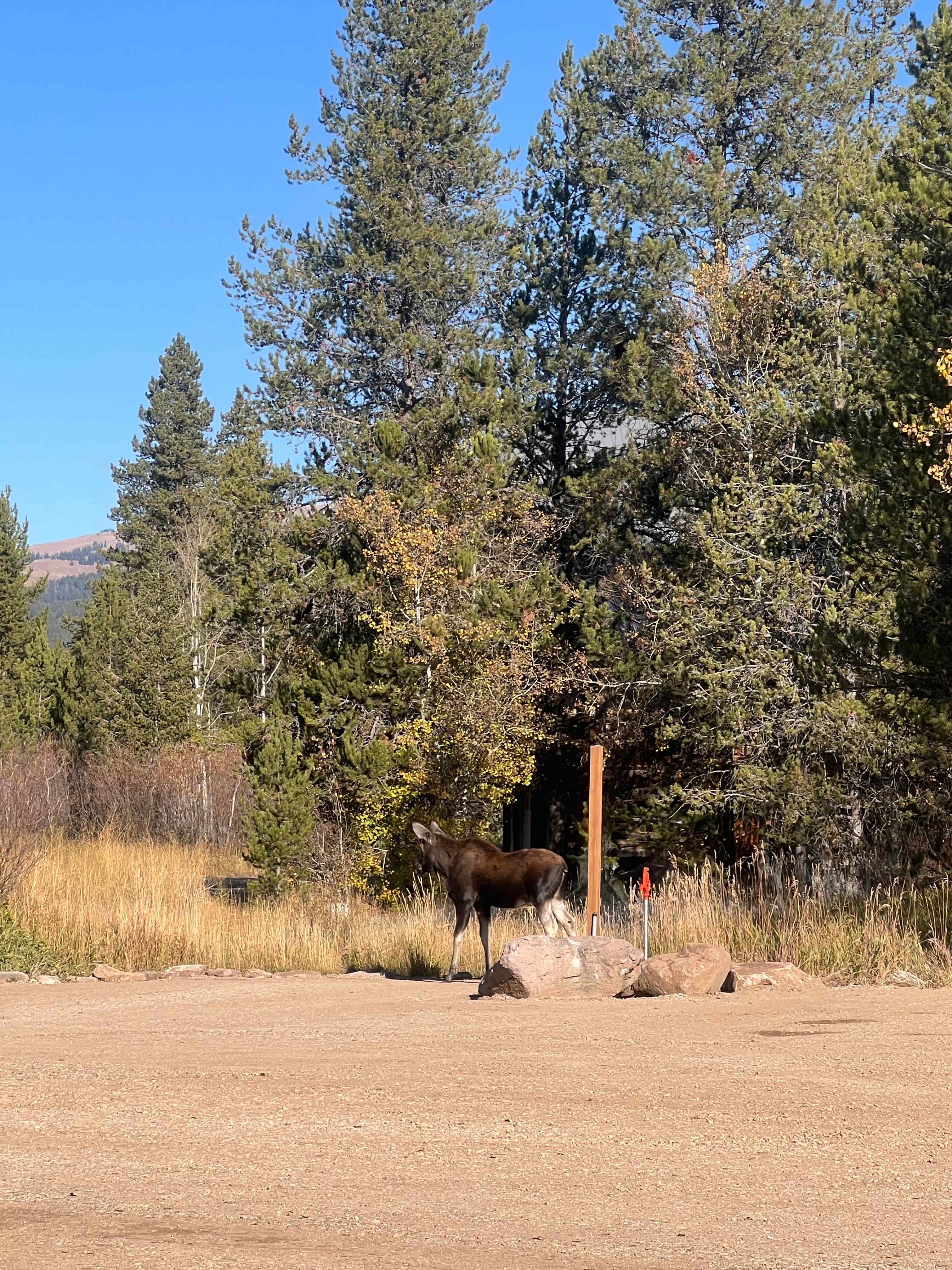 Shotgun Summit RV Park