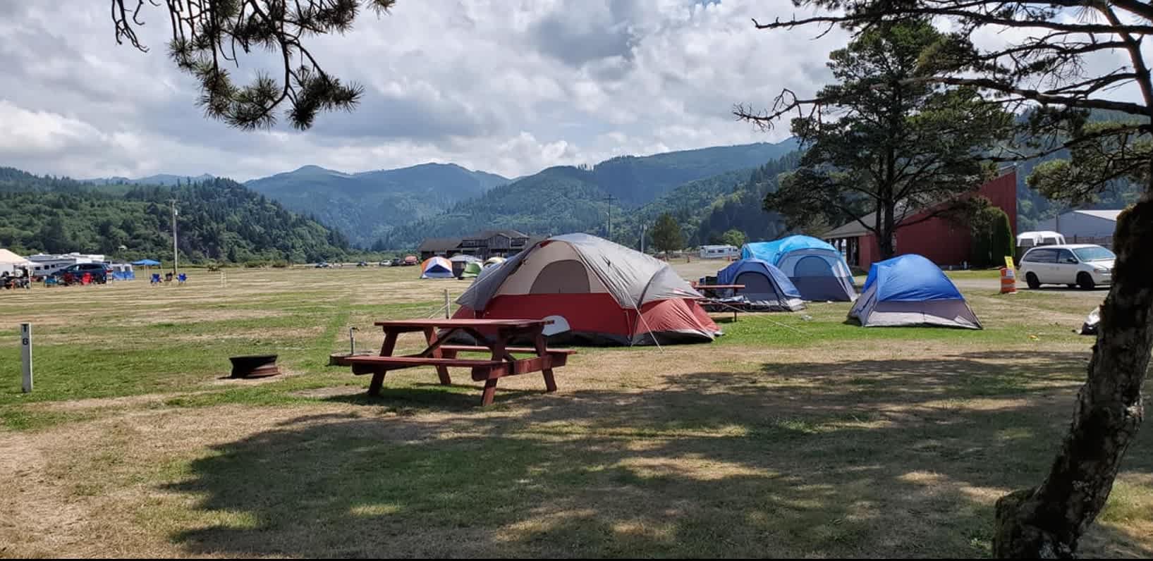 Picture of the site