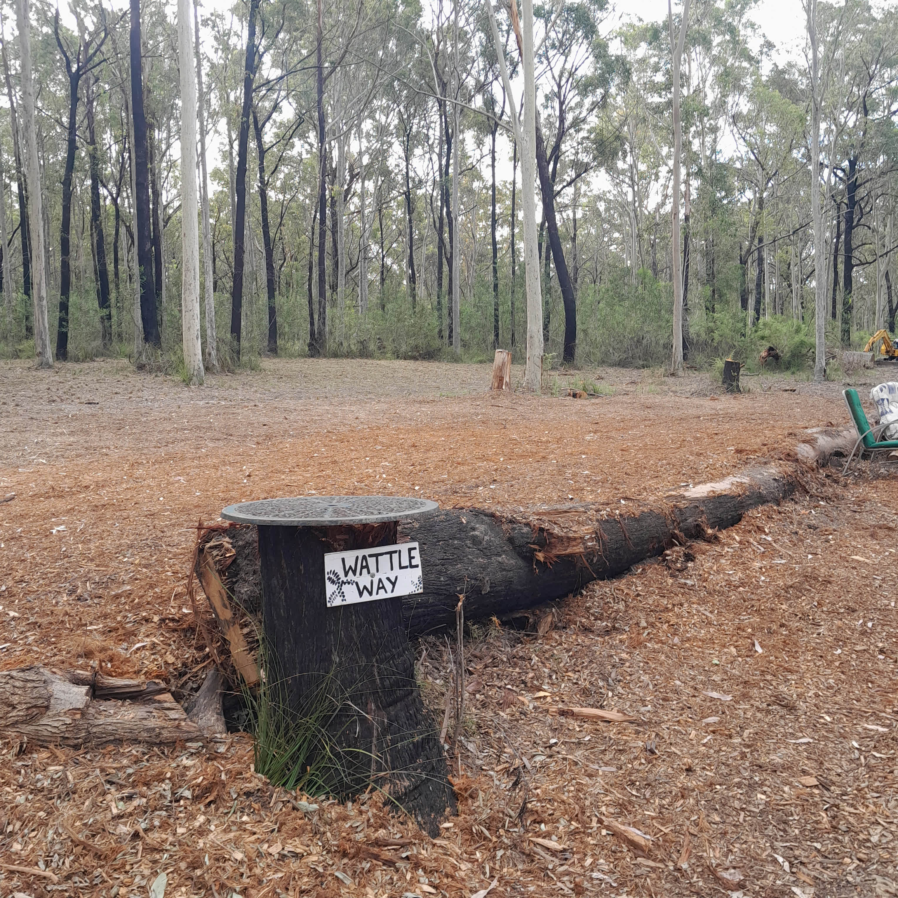 Picture of the site