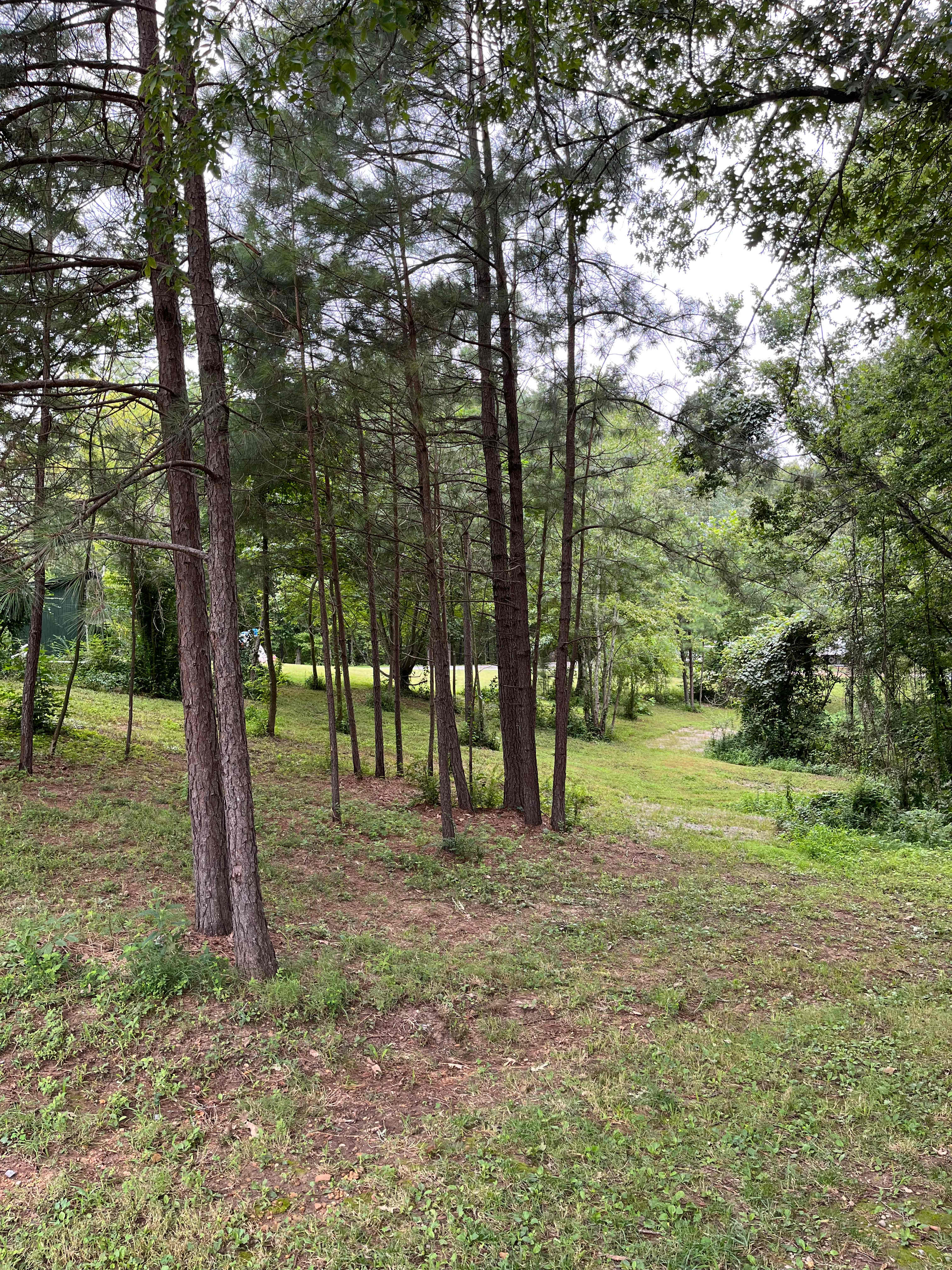 Tanglewood Campground & RV Resort