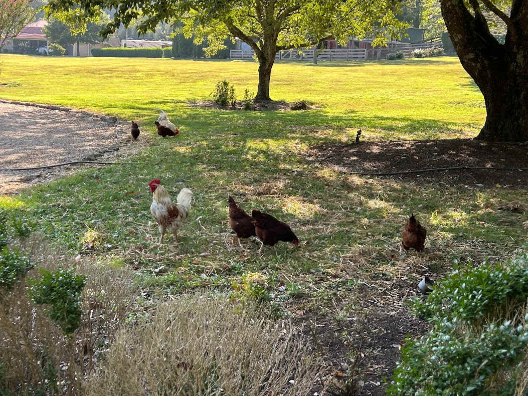 Baker Hollow Farm in Nashville