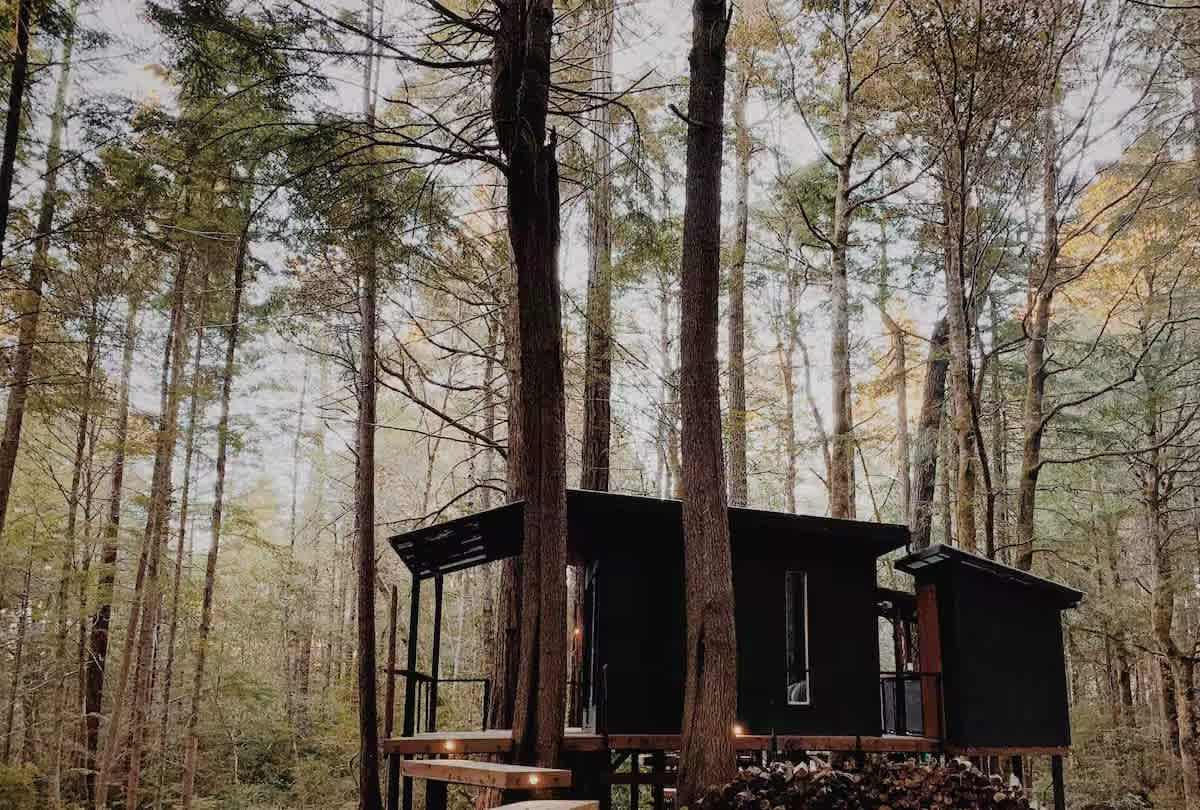Forest Camping Hut 