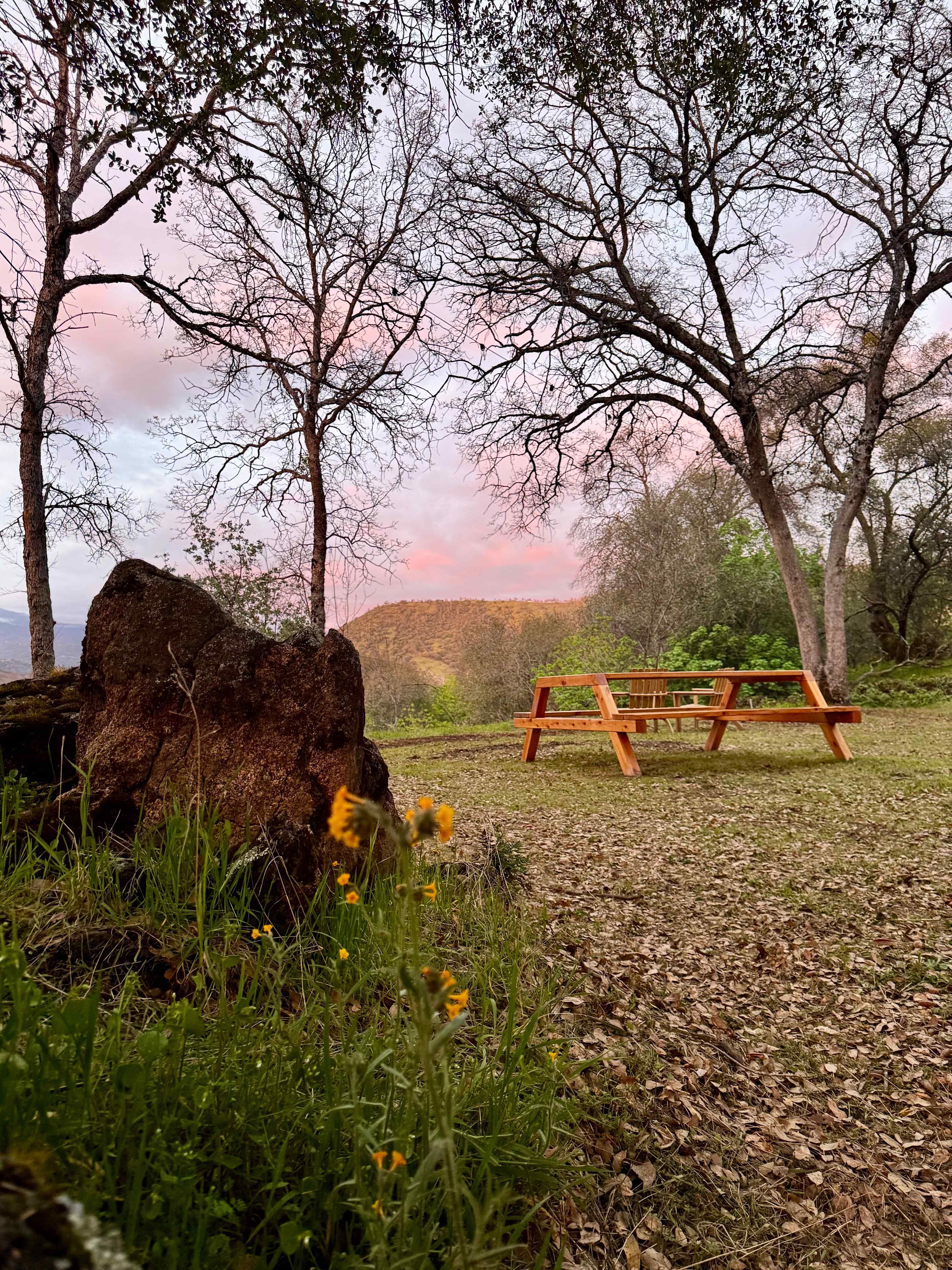 Our large picnic table can accommodate up to six campers, and four very comfortably. 