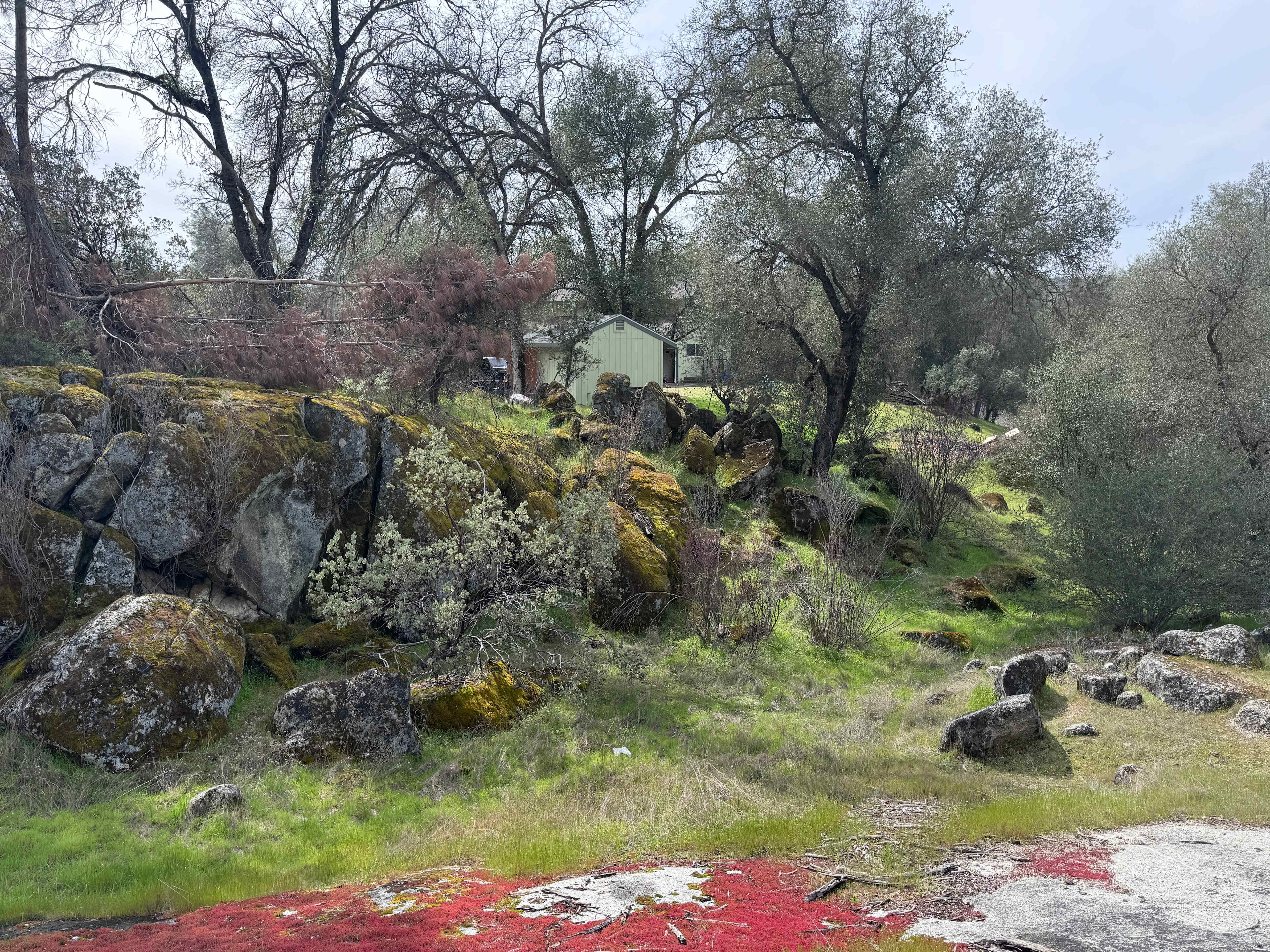 San Pedro Ranch
