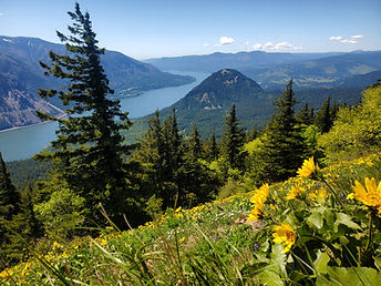 Dog Mountain & Wind Mountain RV Resort & Lodge