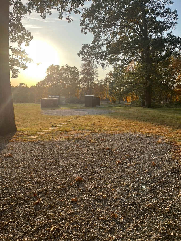 Fire pit next to dry wood storage and out house. 