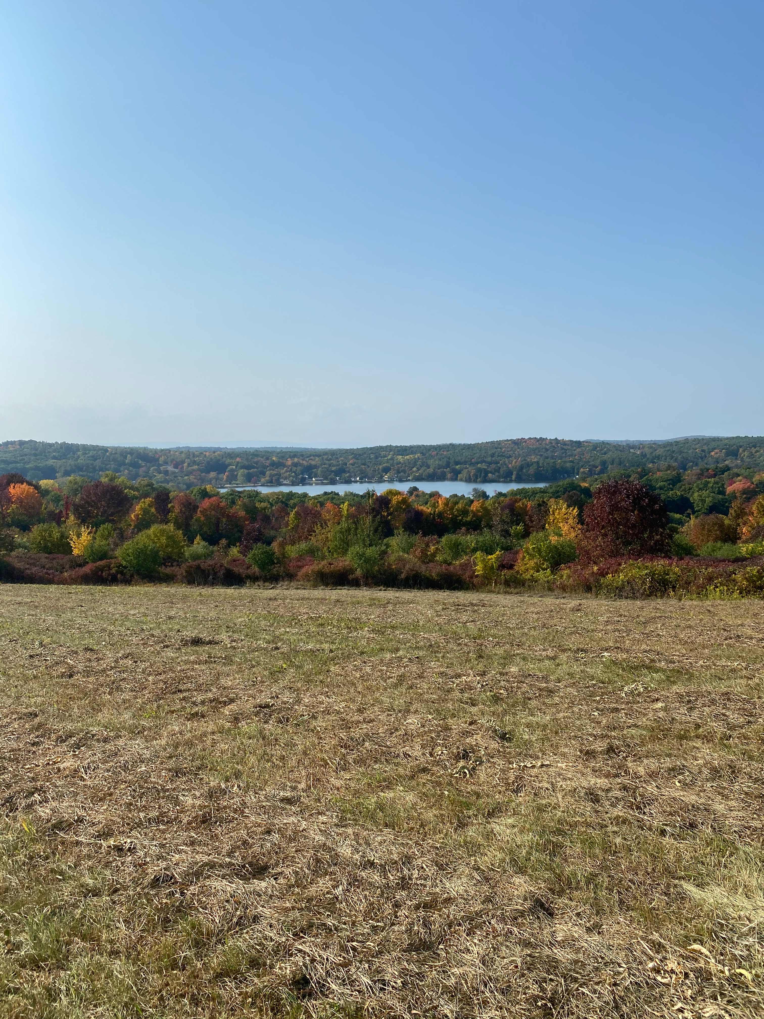The Sheldon Farm