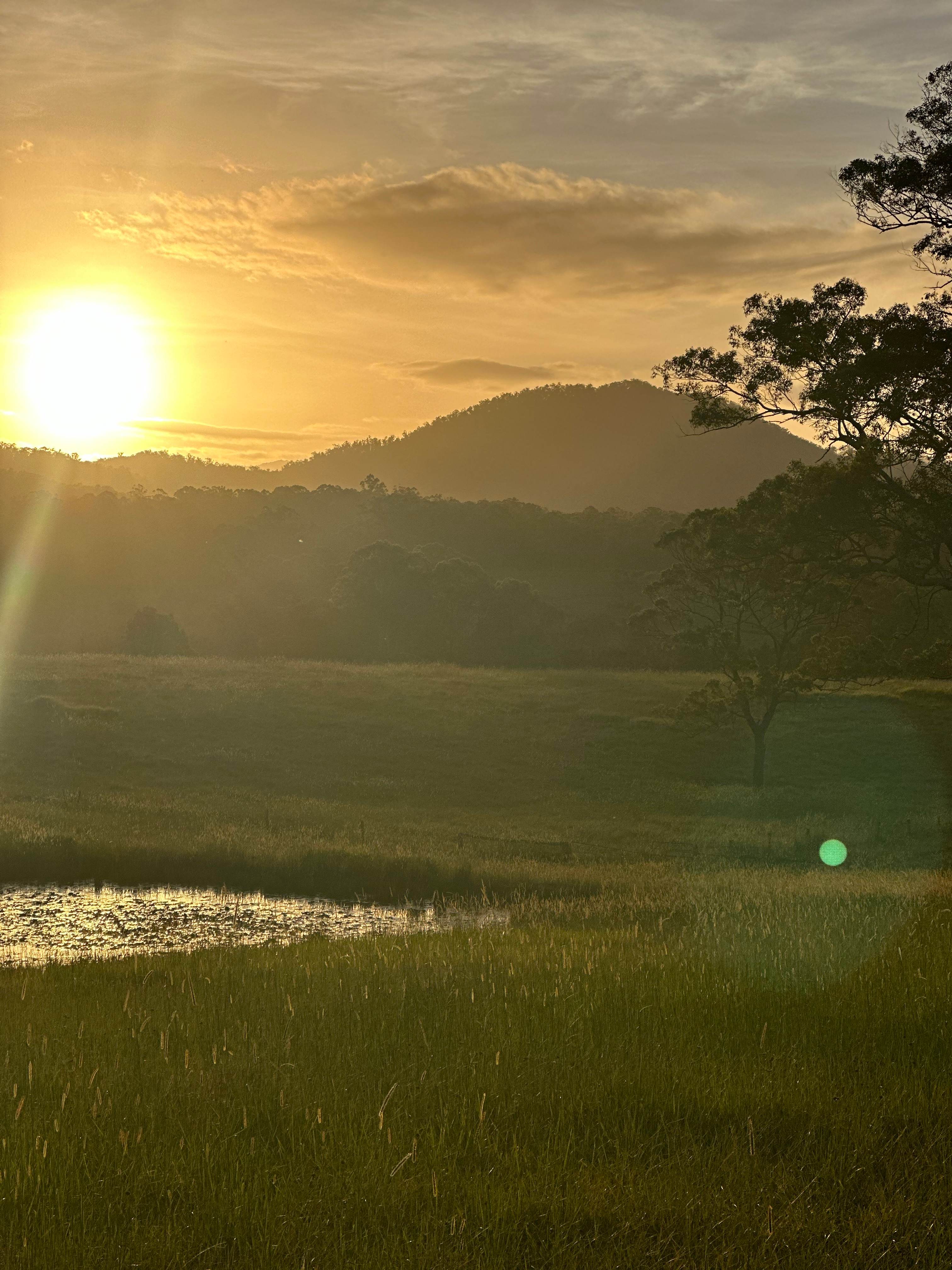 The Plains Ranch and Farm Stay
