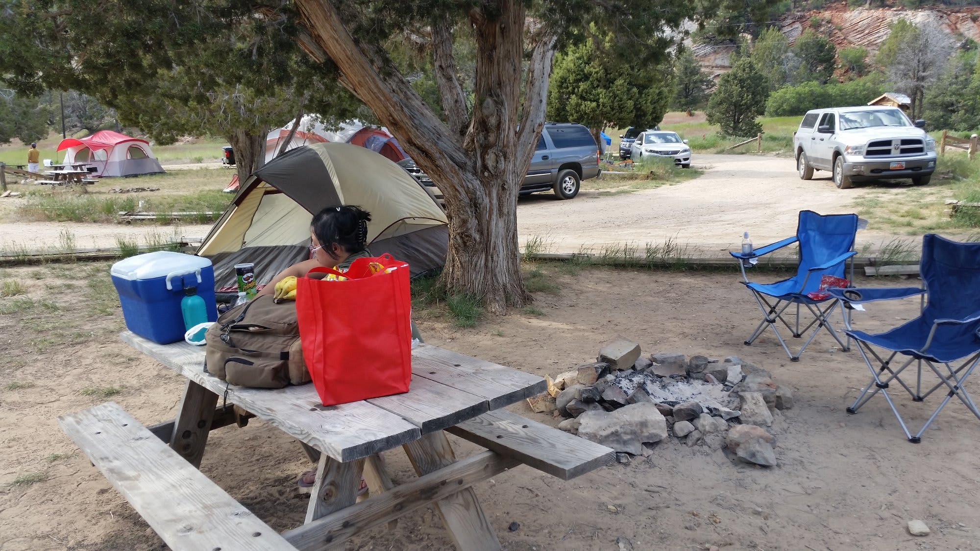 Picture of the site
