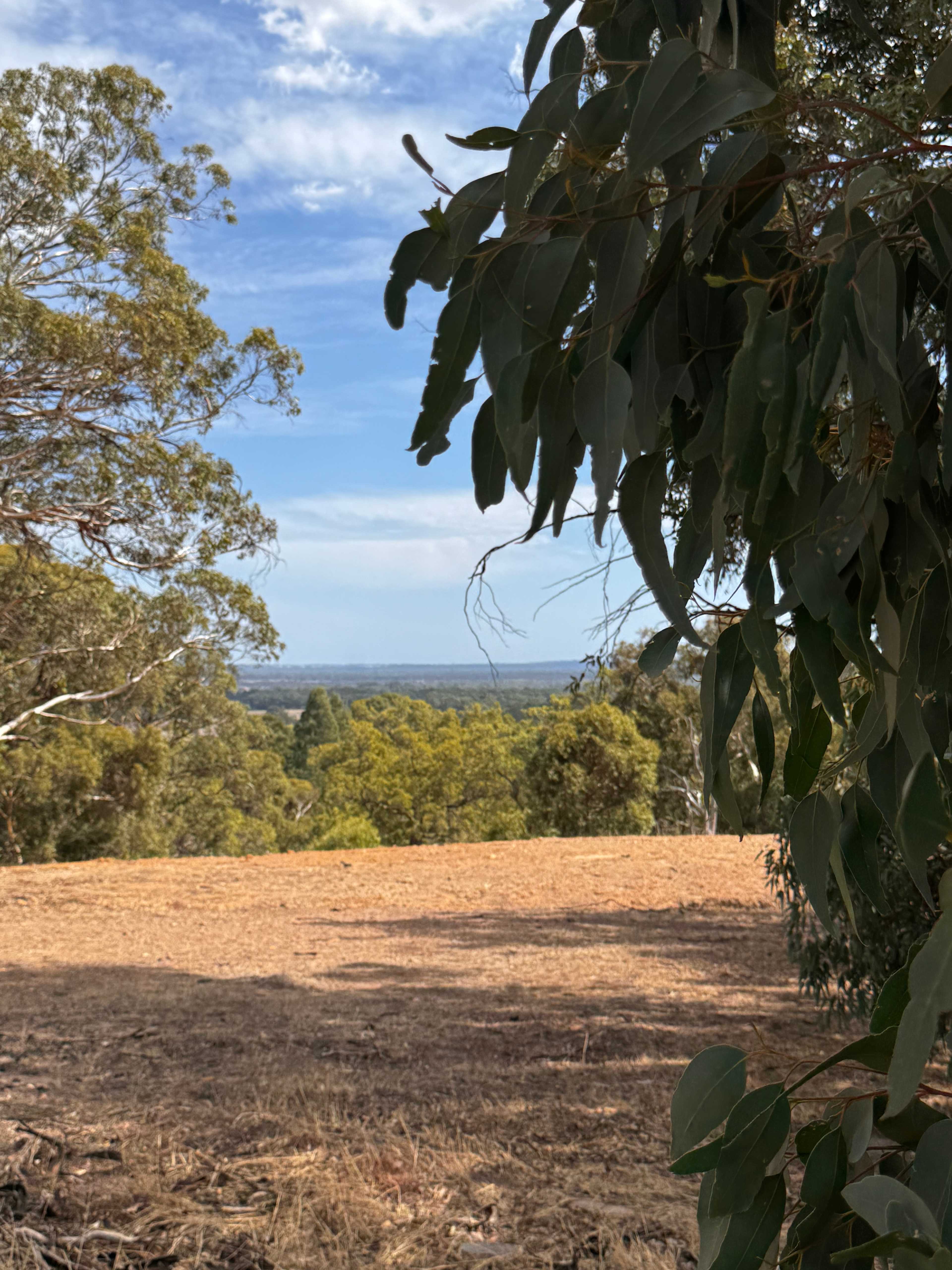 Yarrabah High Country- Jarrahdale