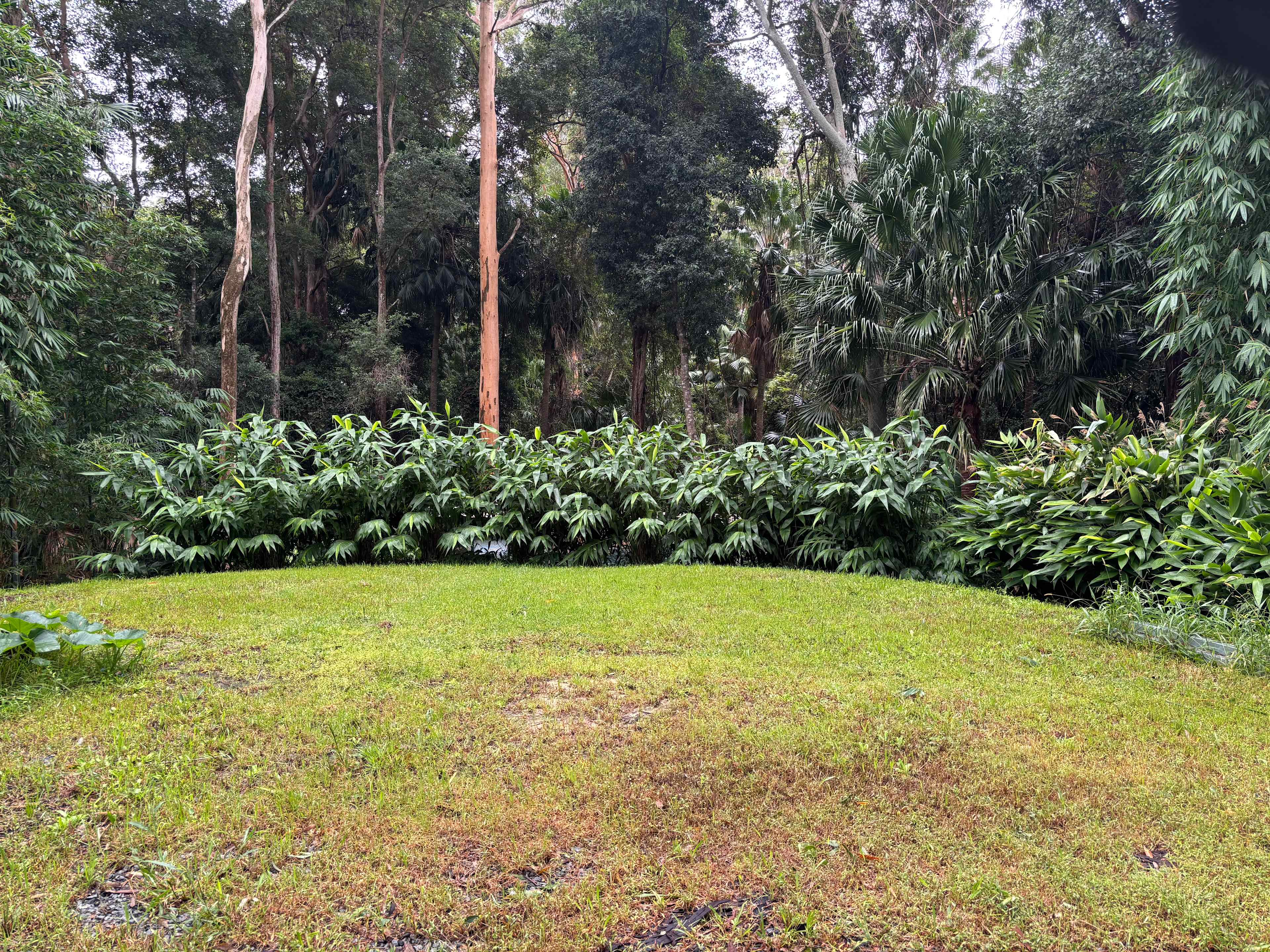 Level Land By Rainforest Near Lake