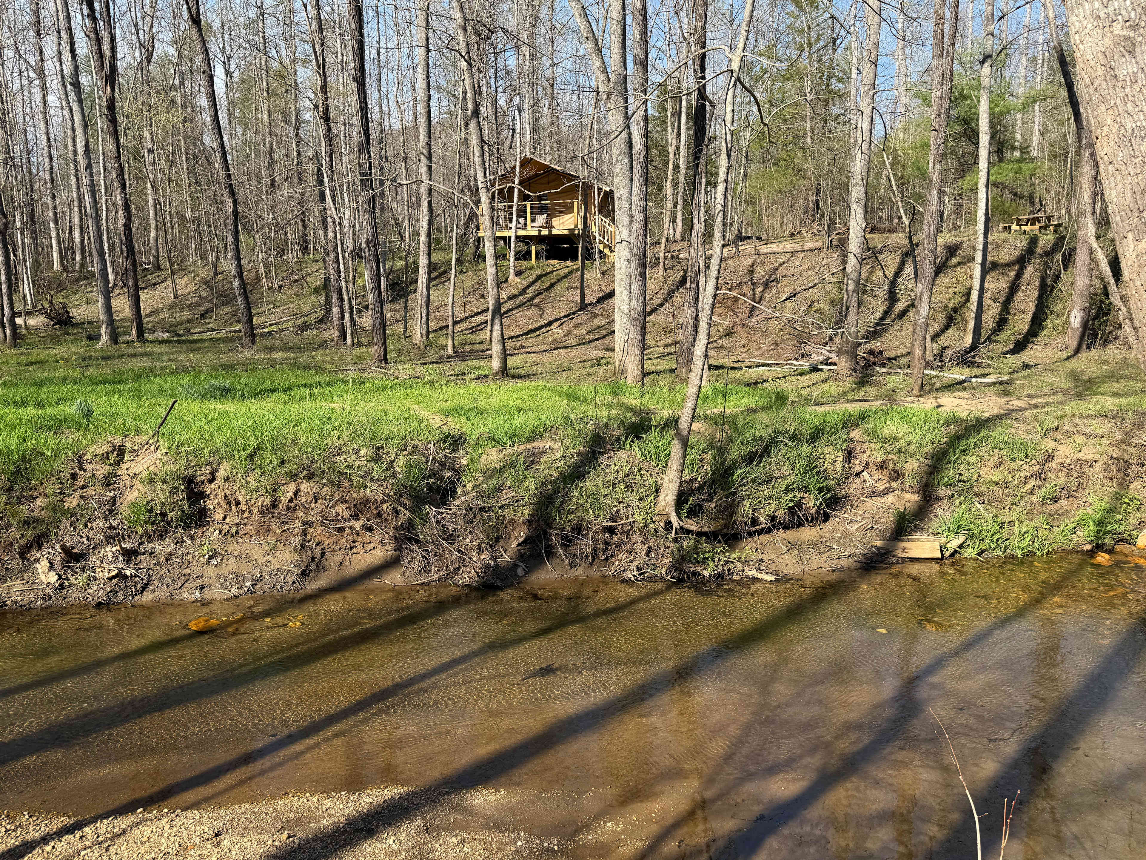 Picture of the site