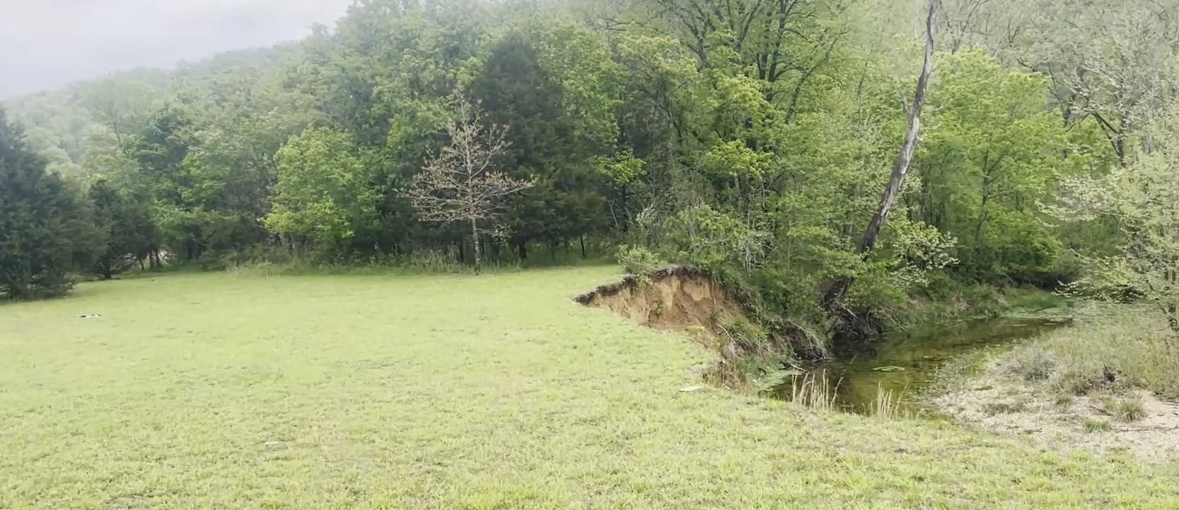 Ozark Hippie Camp - Primitive Spots