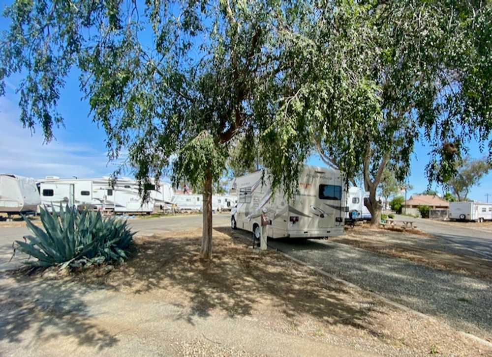 Almond Tree Oasis RV Park