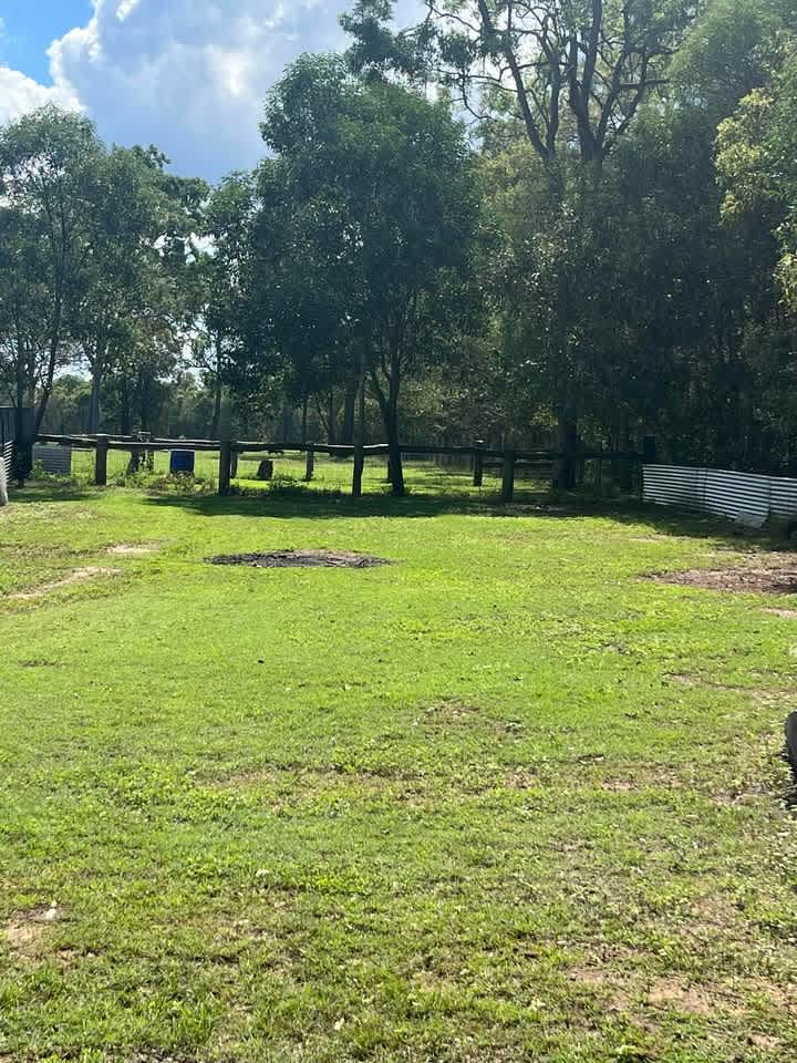 cleared and ready to make welcoming