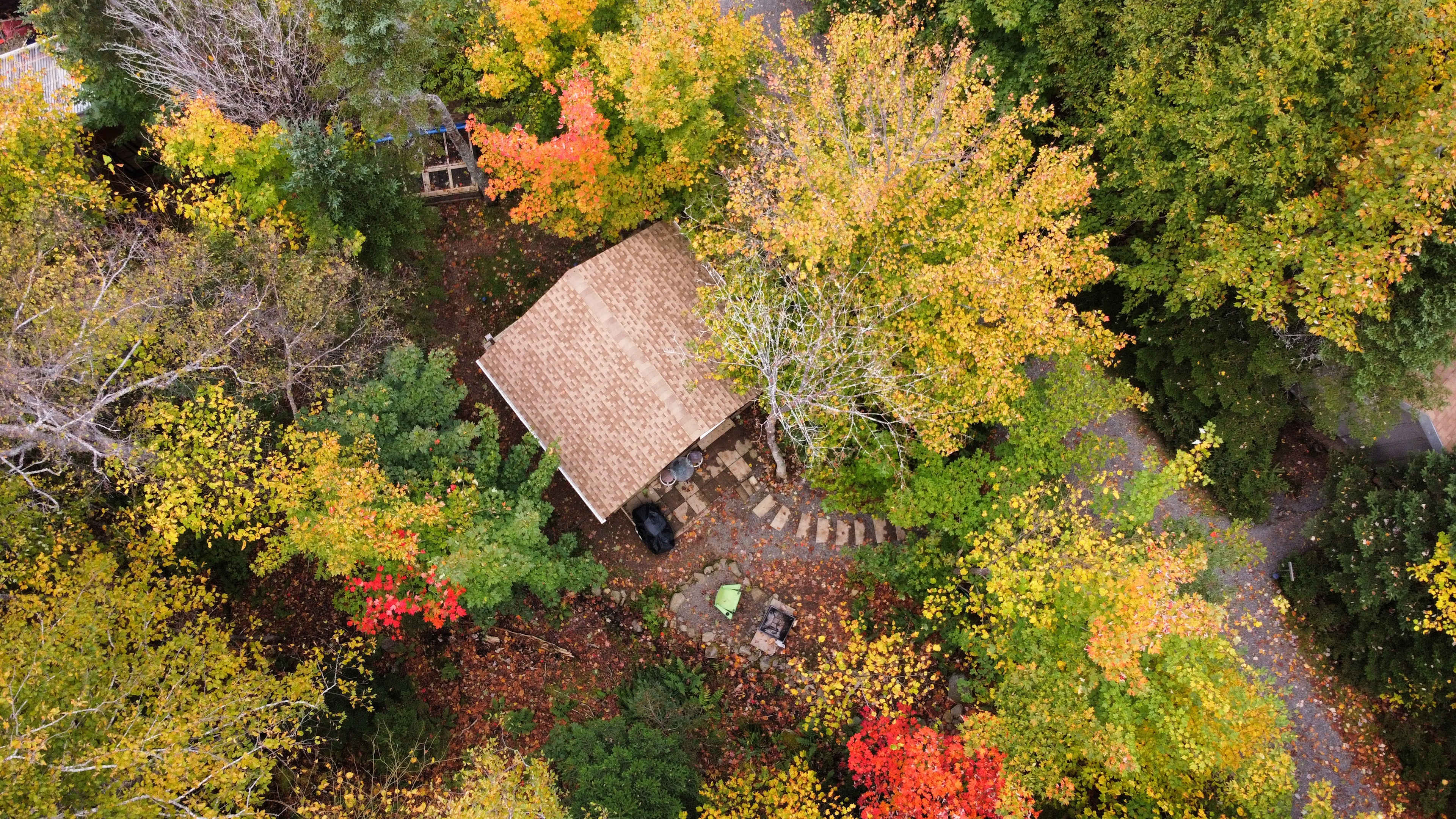 Cabot Cottage and Seaside Cabins